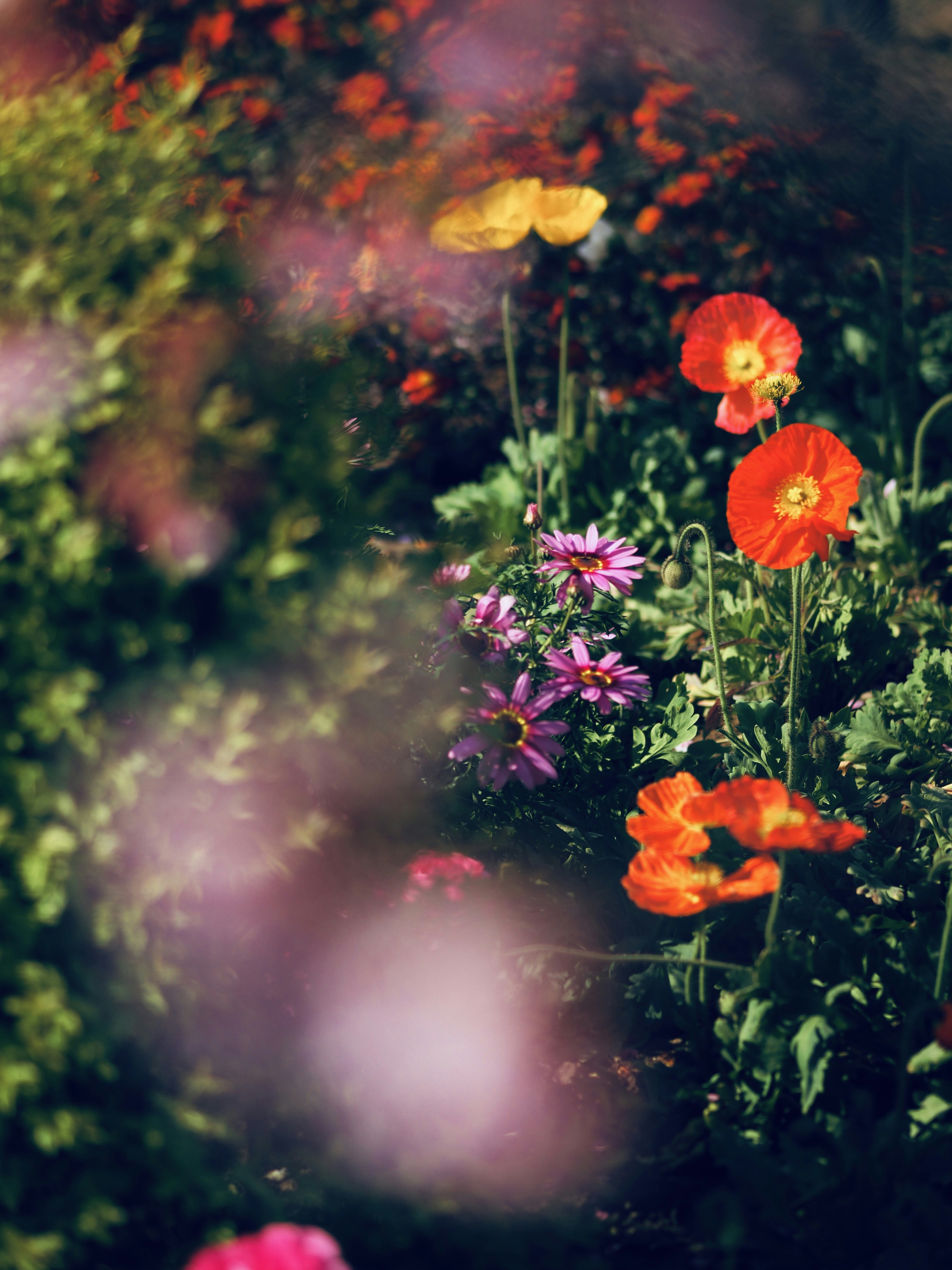 Photo by mianmian1997