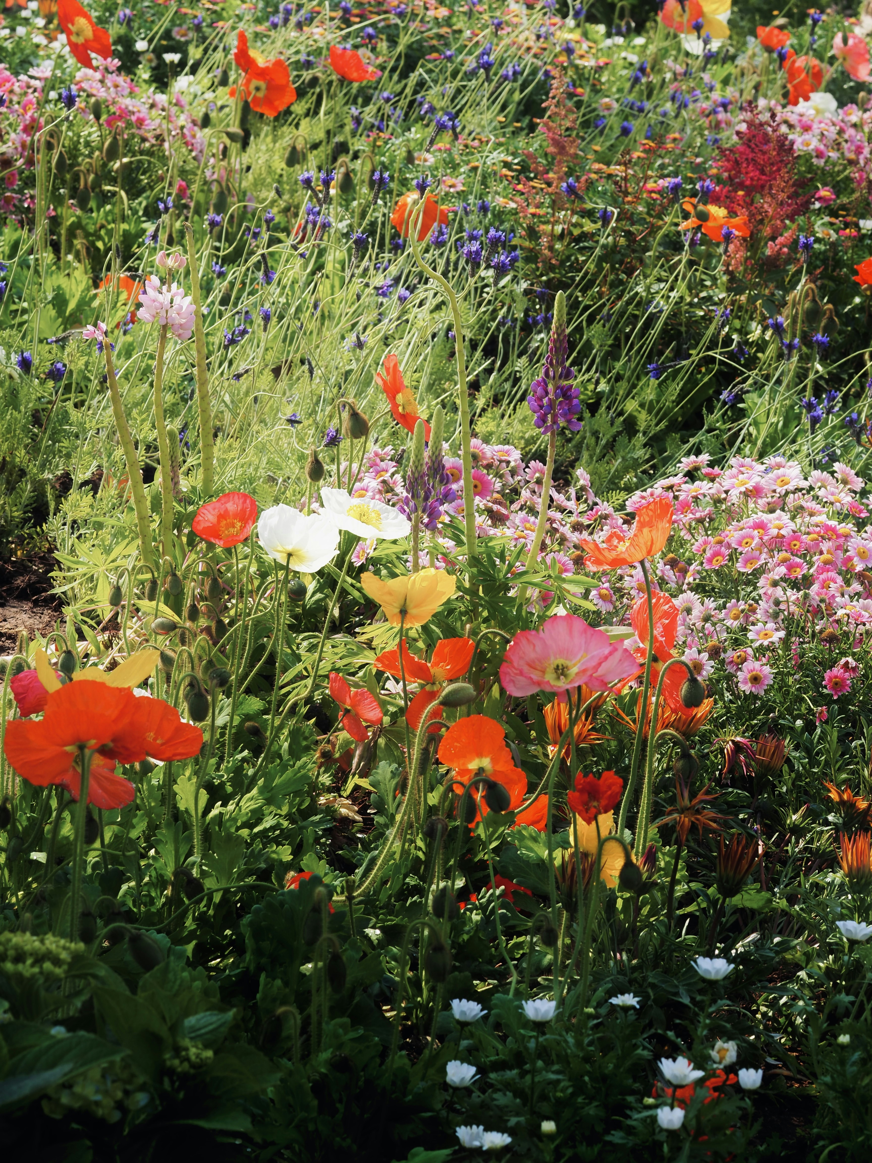 Photo by mianmian1997