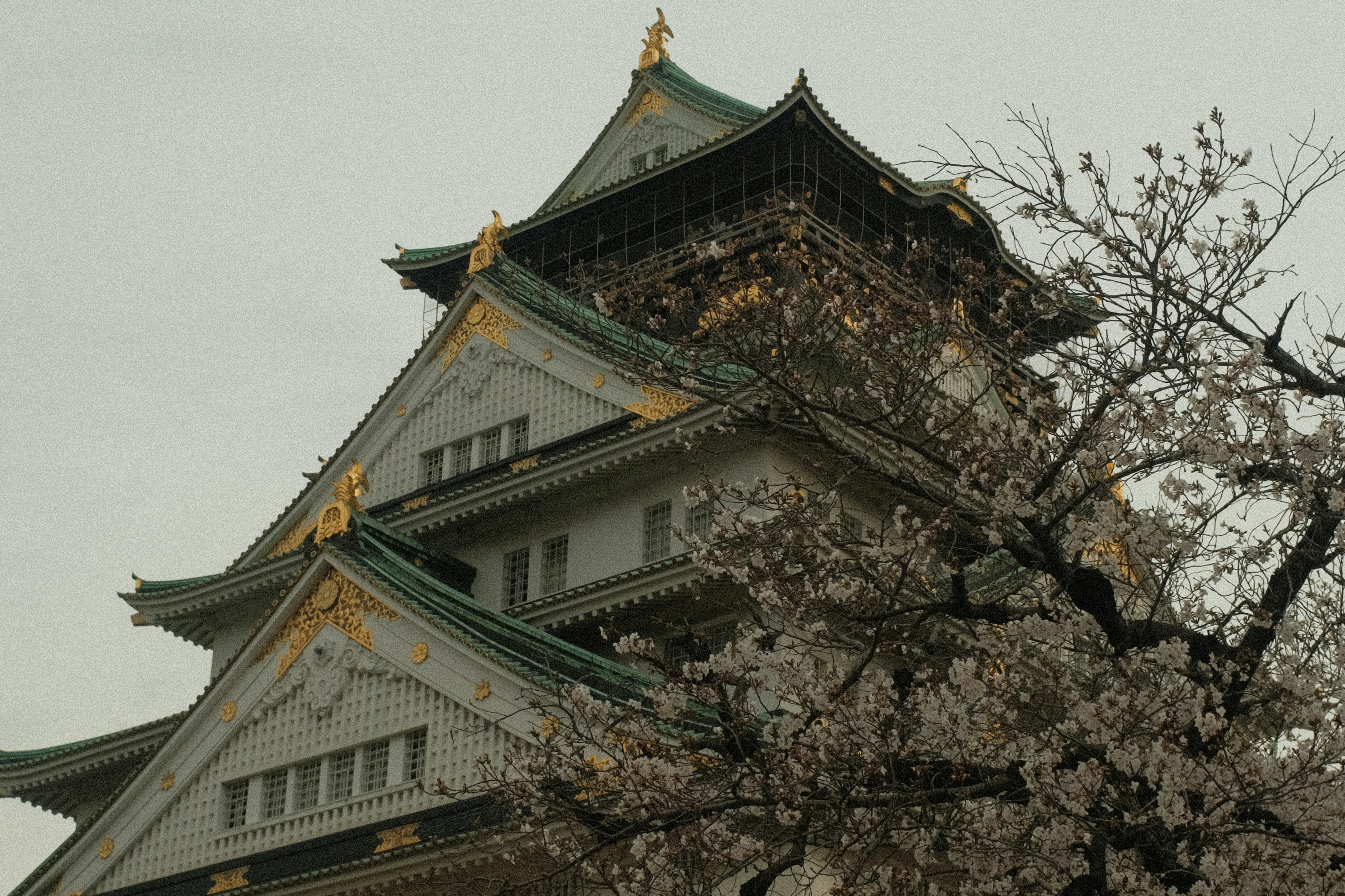 Photo by harukism