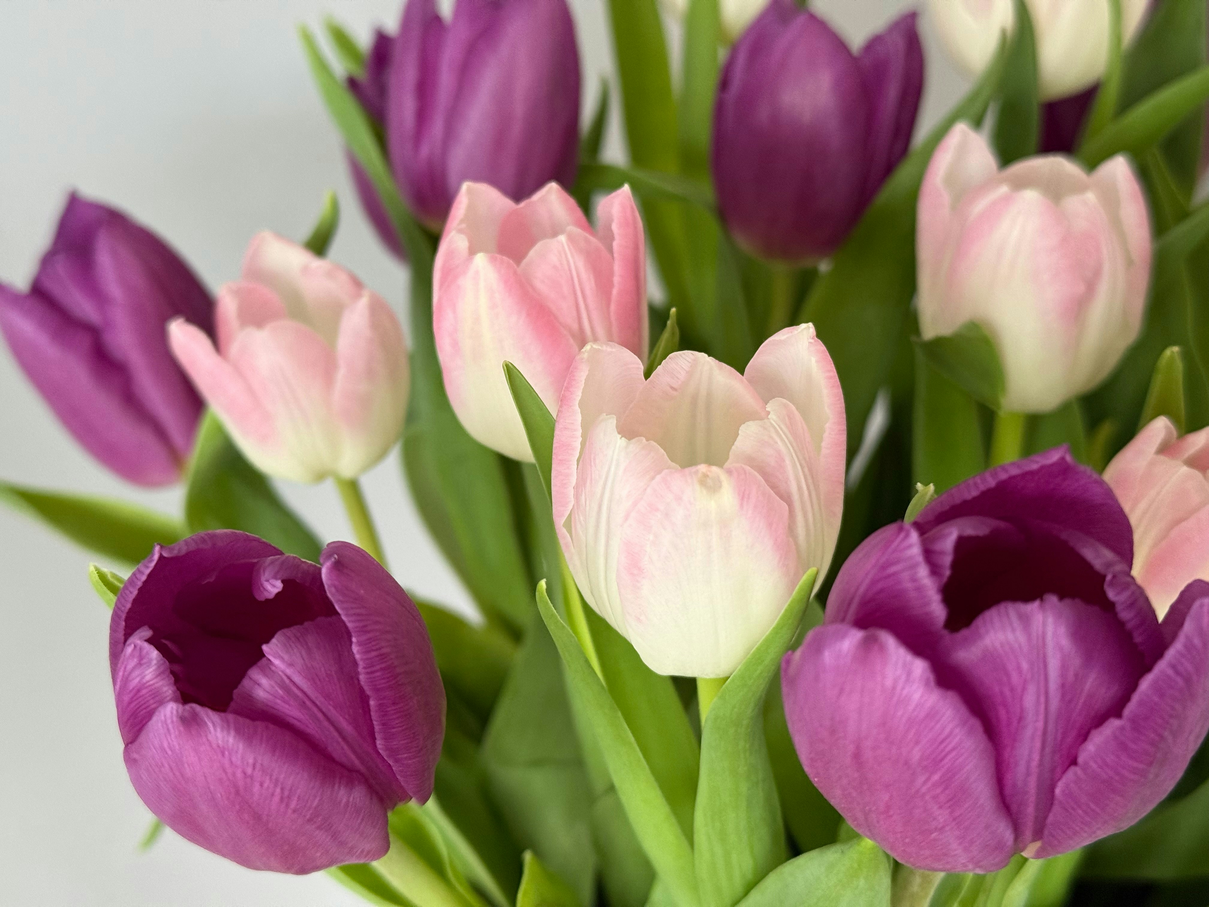 Photo by photosfromhome