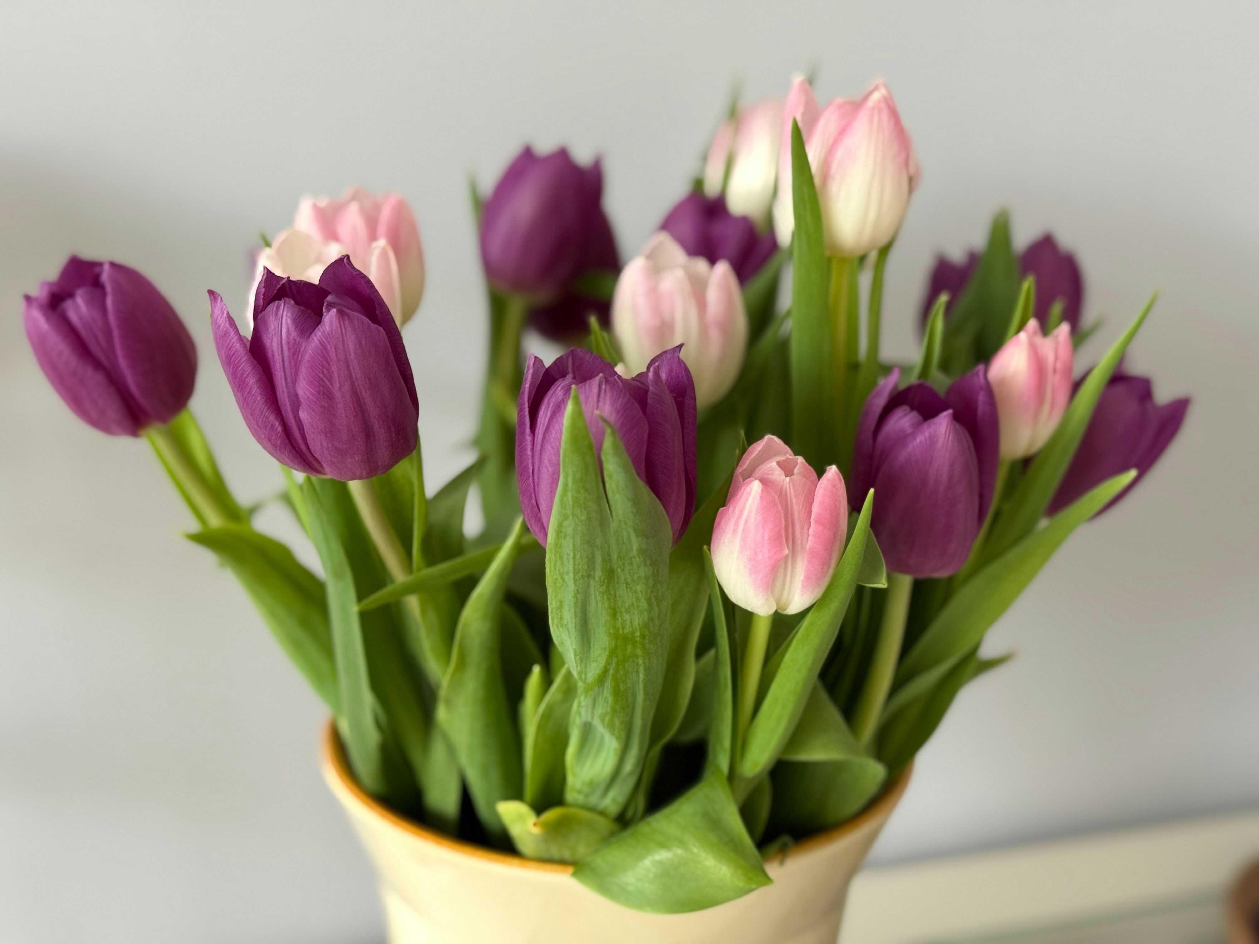 Photo by photosfromhome