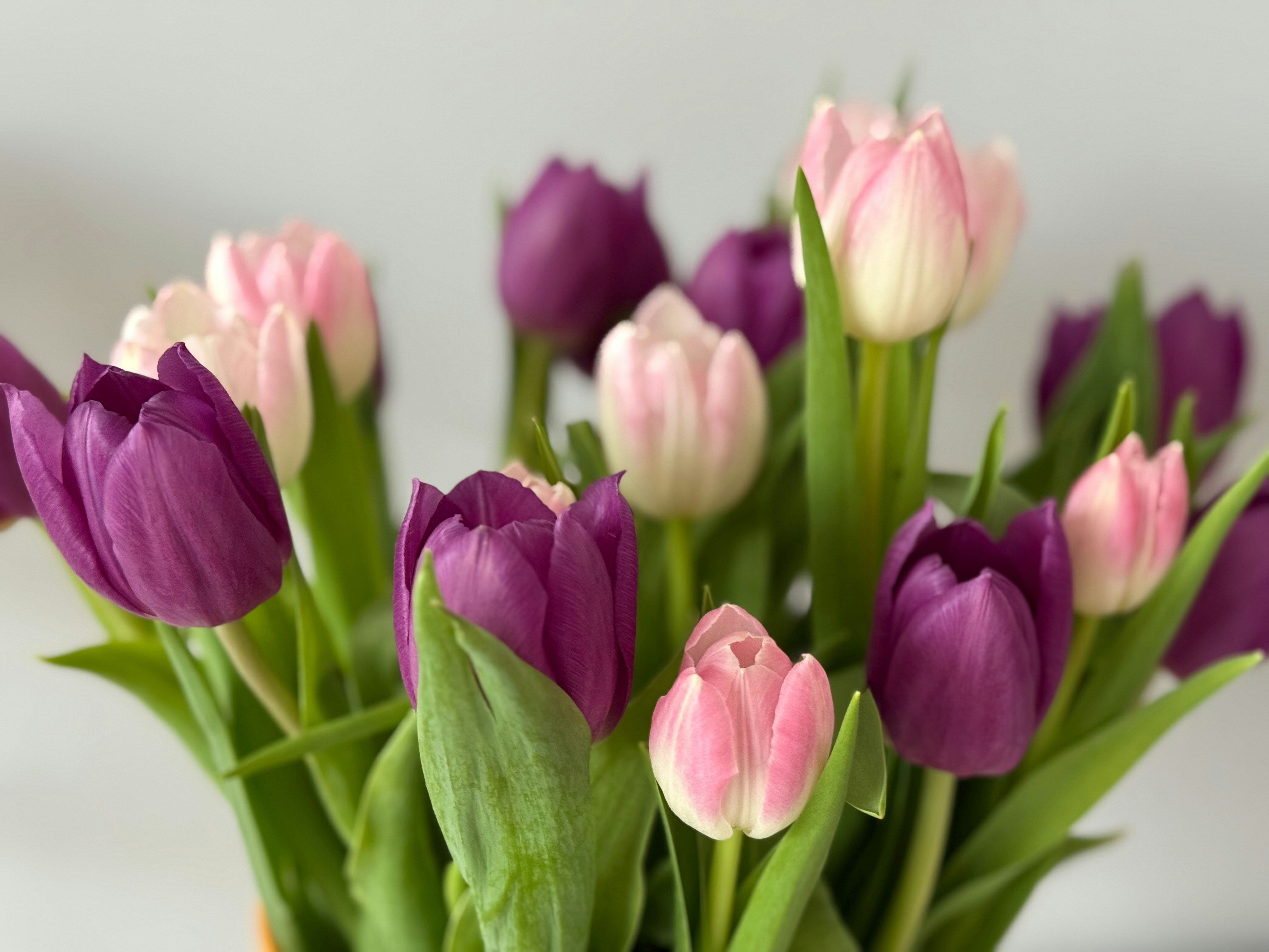 Photo by photosfromhome