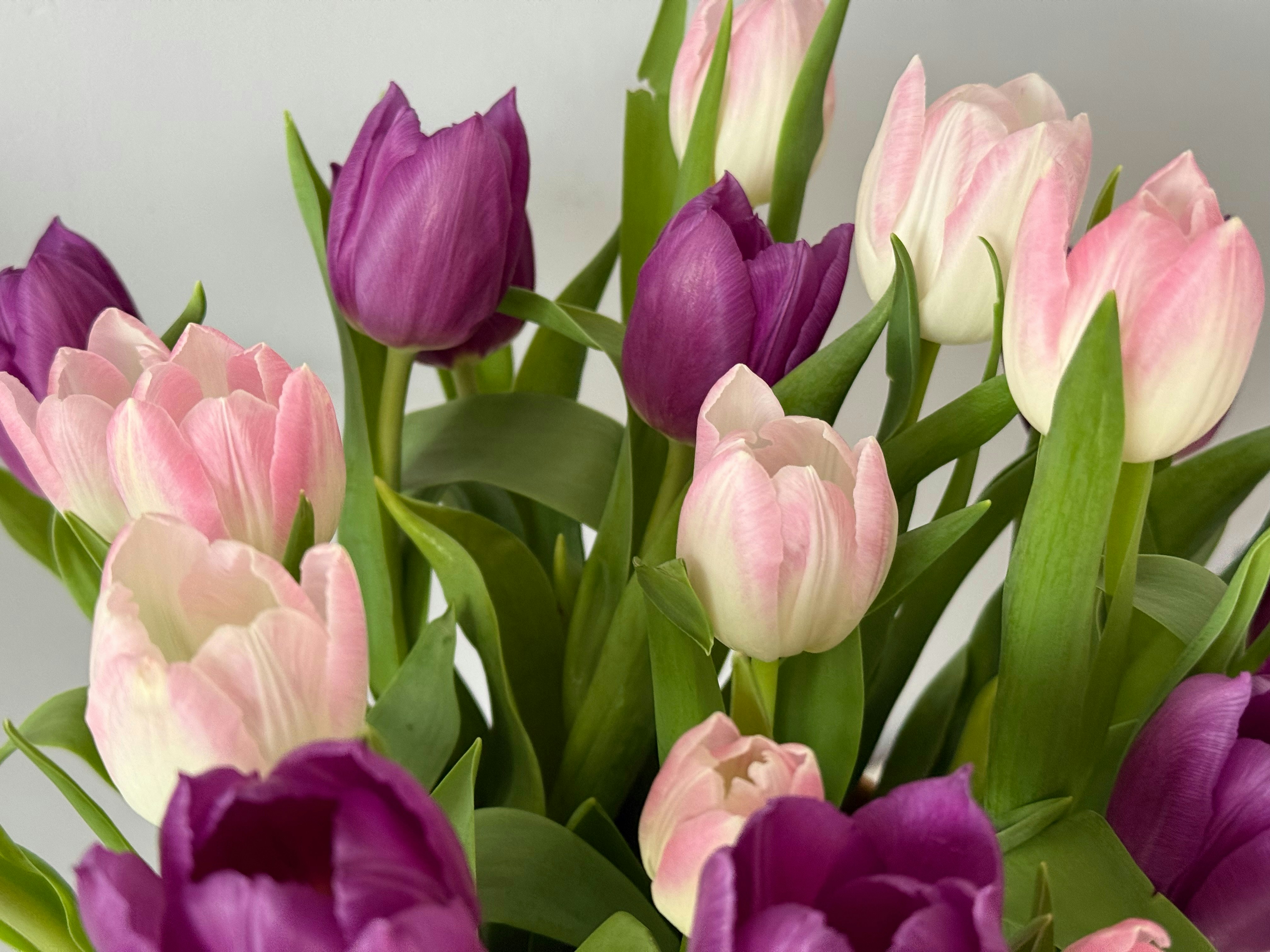 Photo by photosfromhome