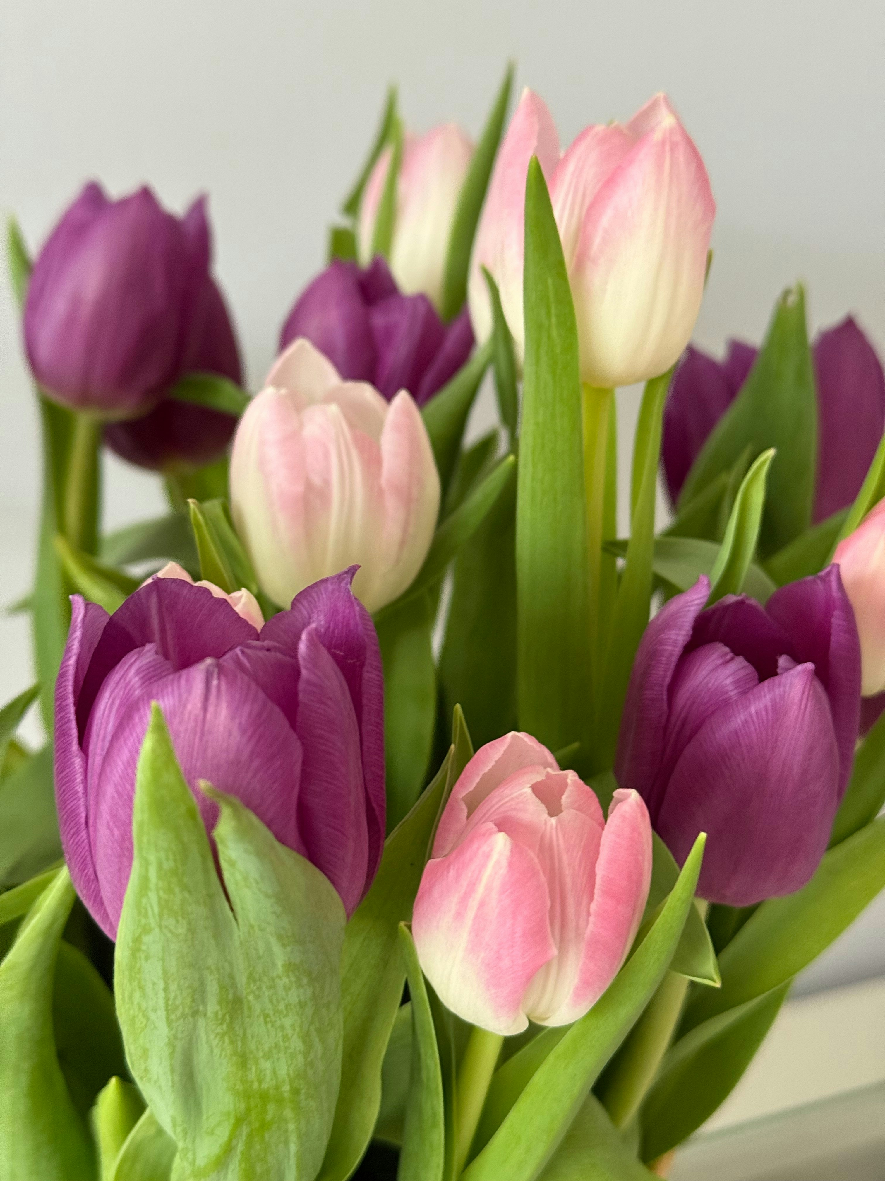 Photo by photosfromhome