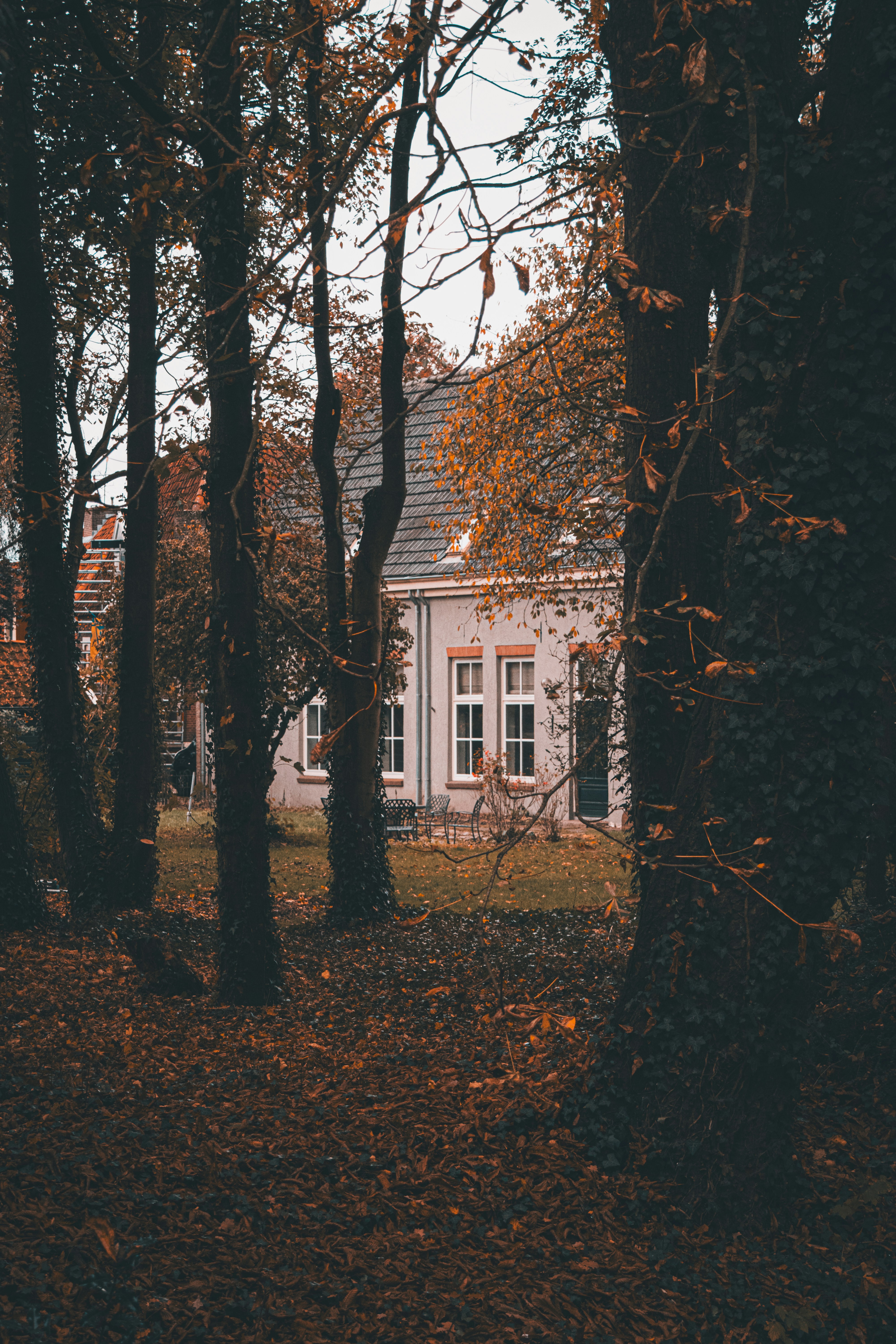 Photo by doronhakvoort