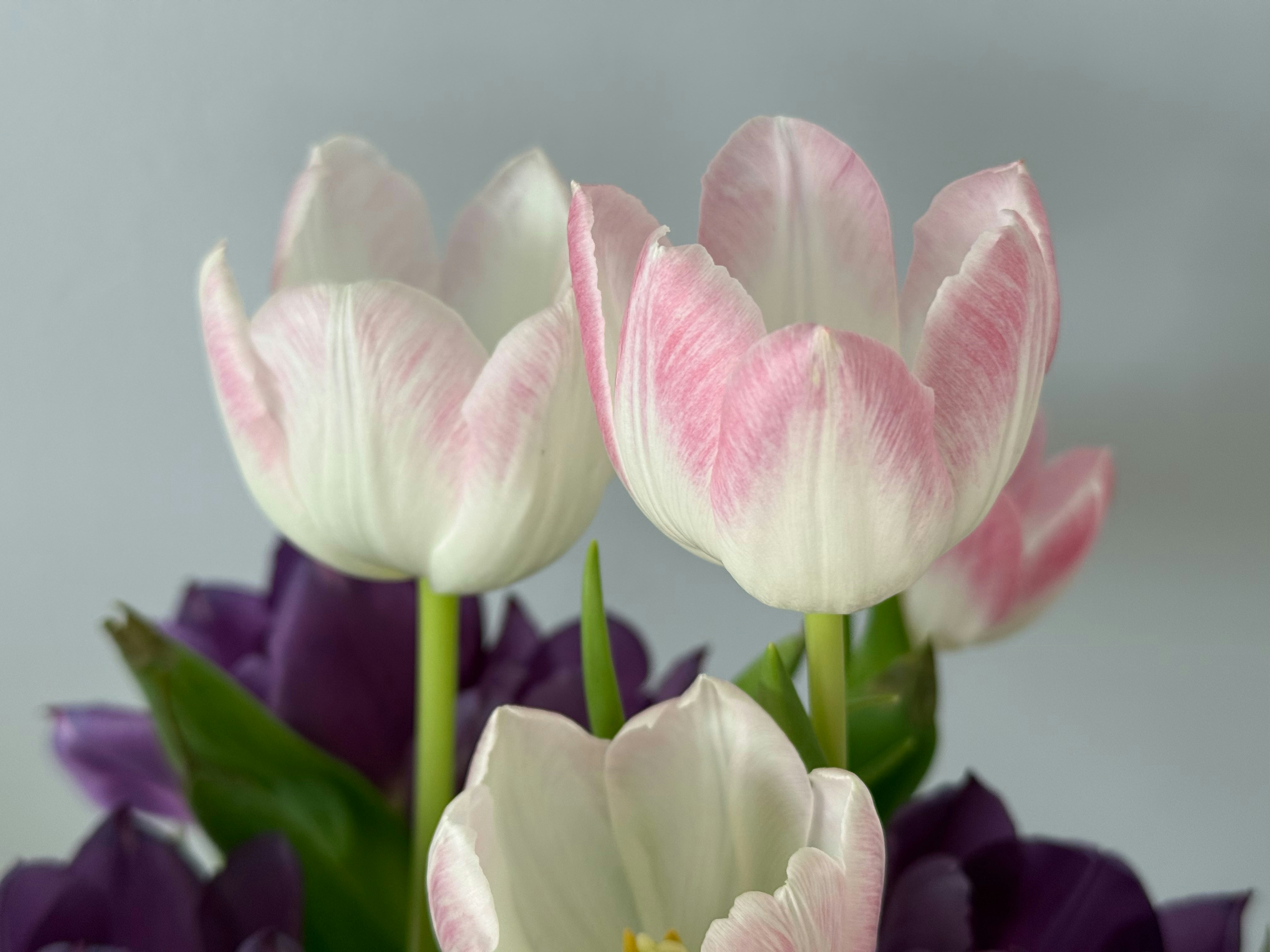 Photo by photosfromhome