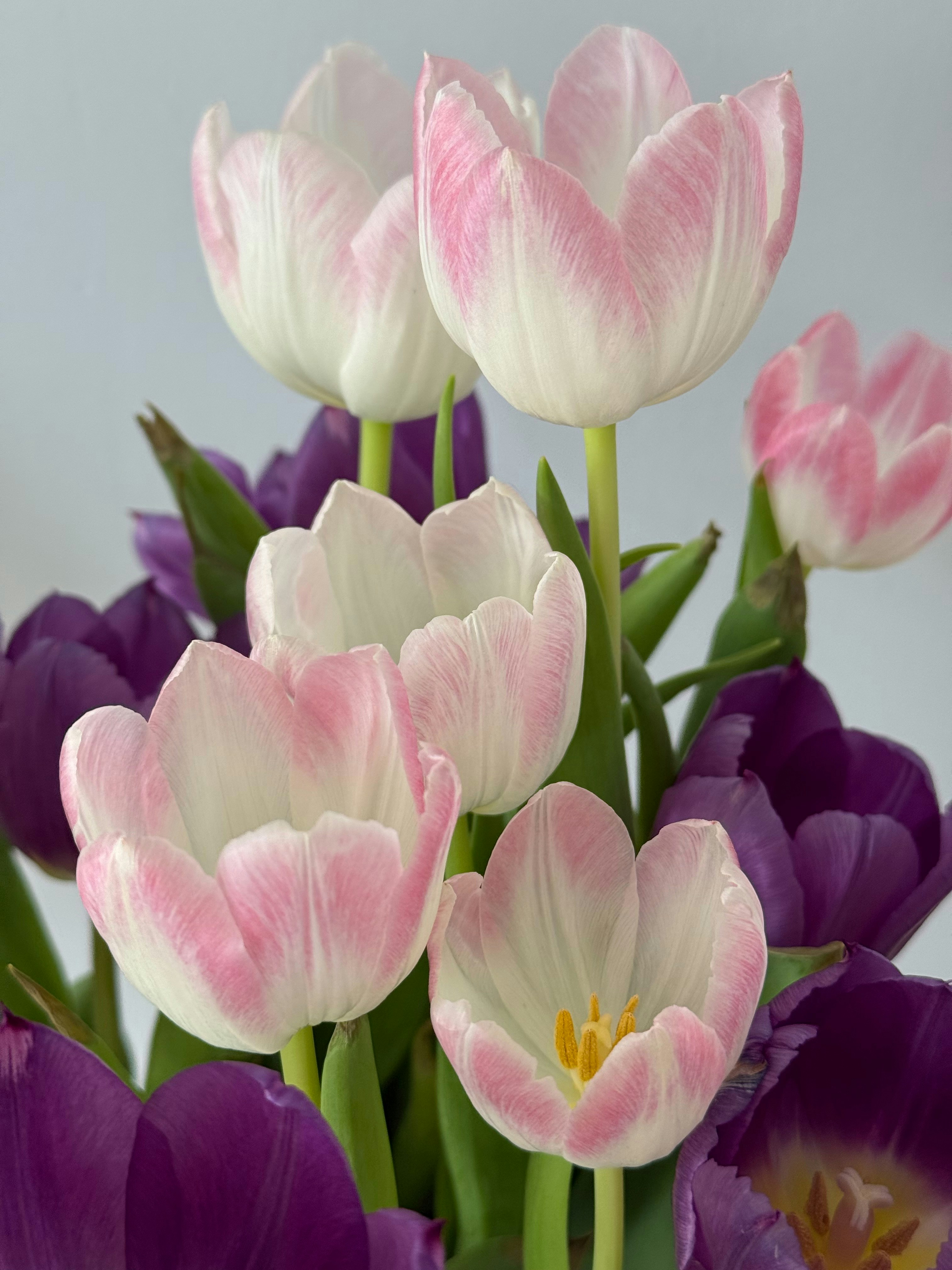 Photo by photosfromhome