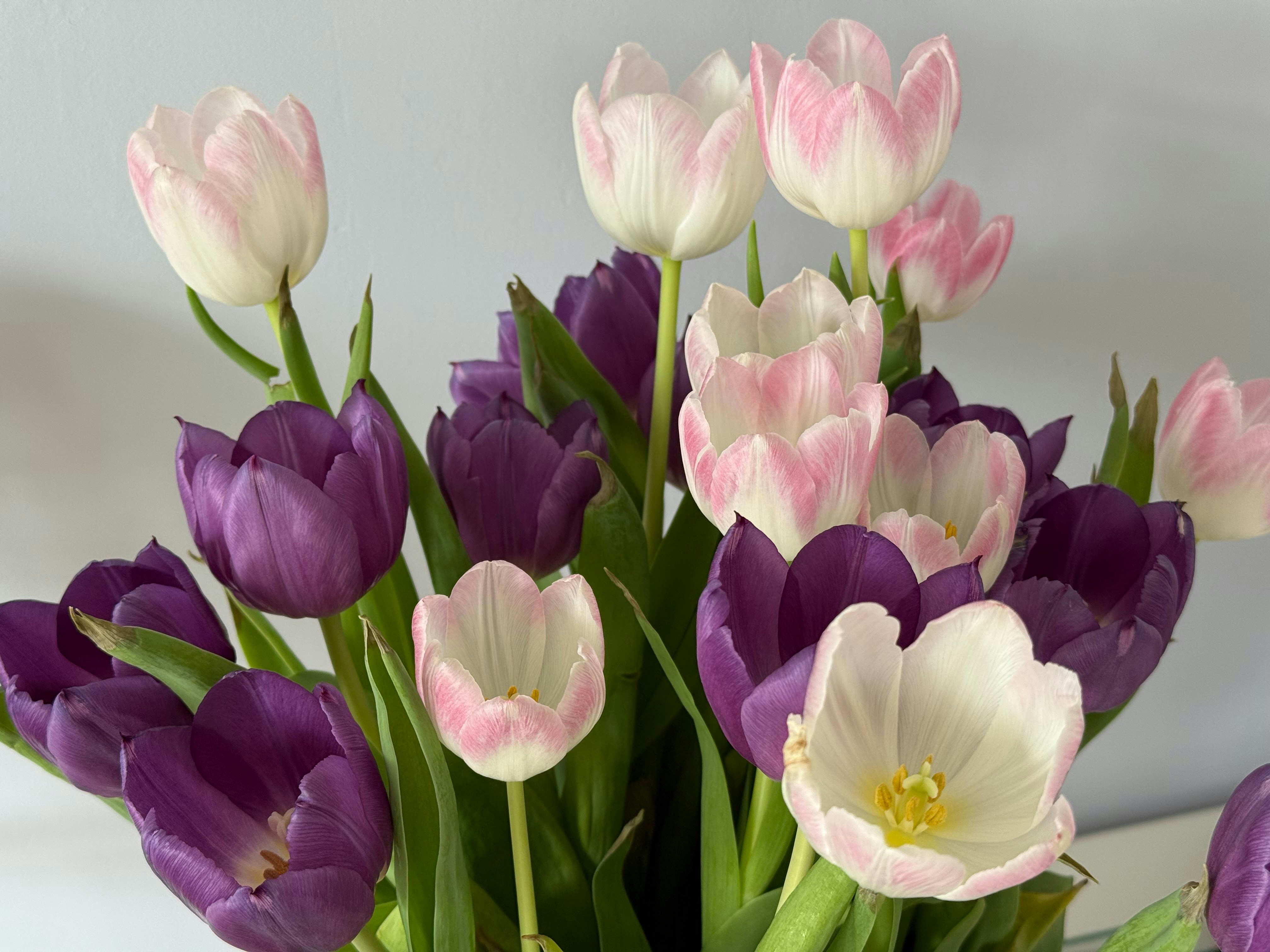 Photo by photosfromhome