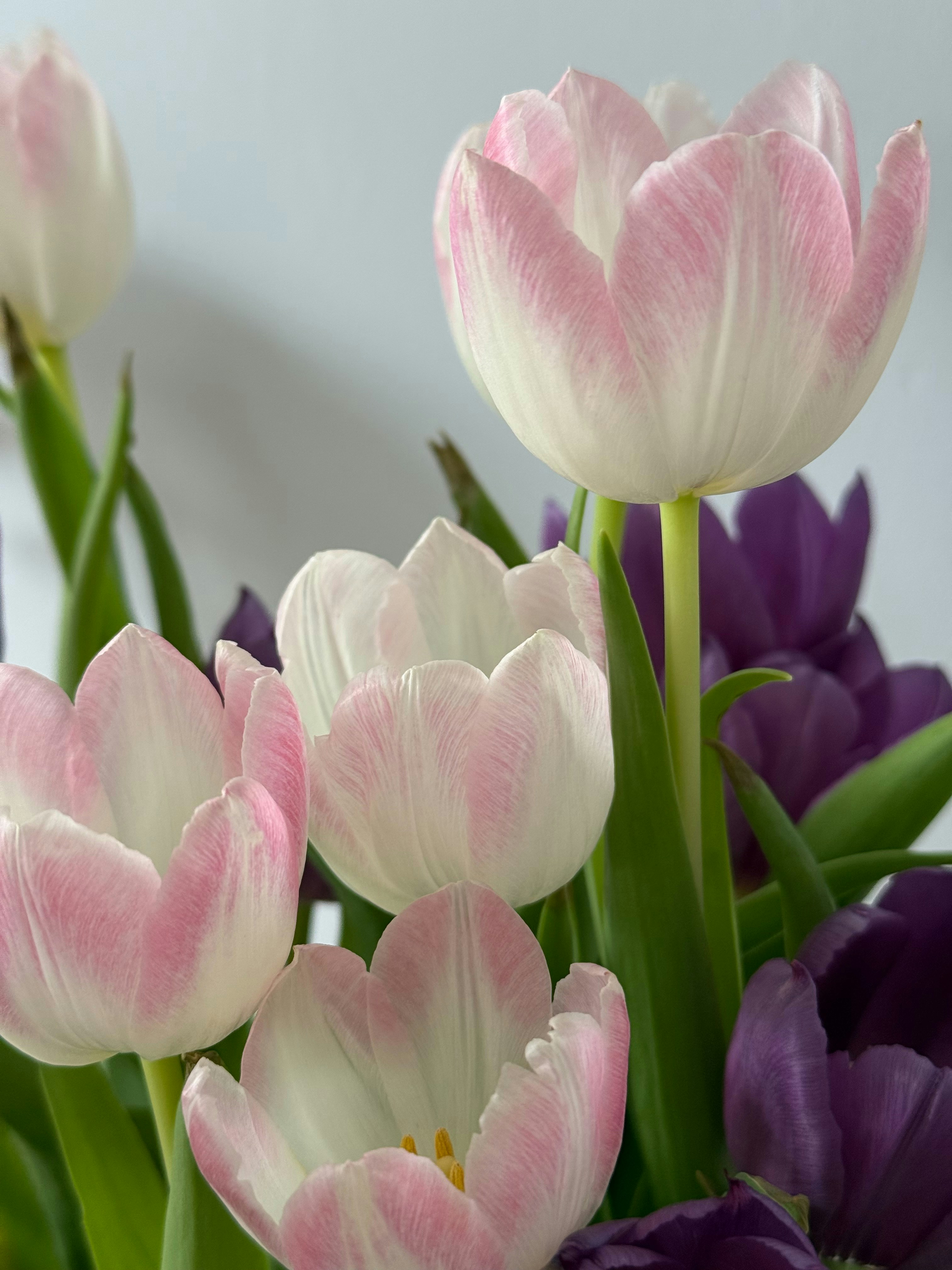 Photo by photosfromhome