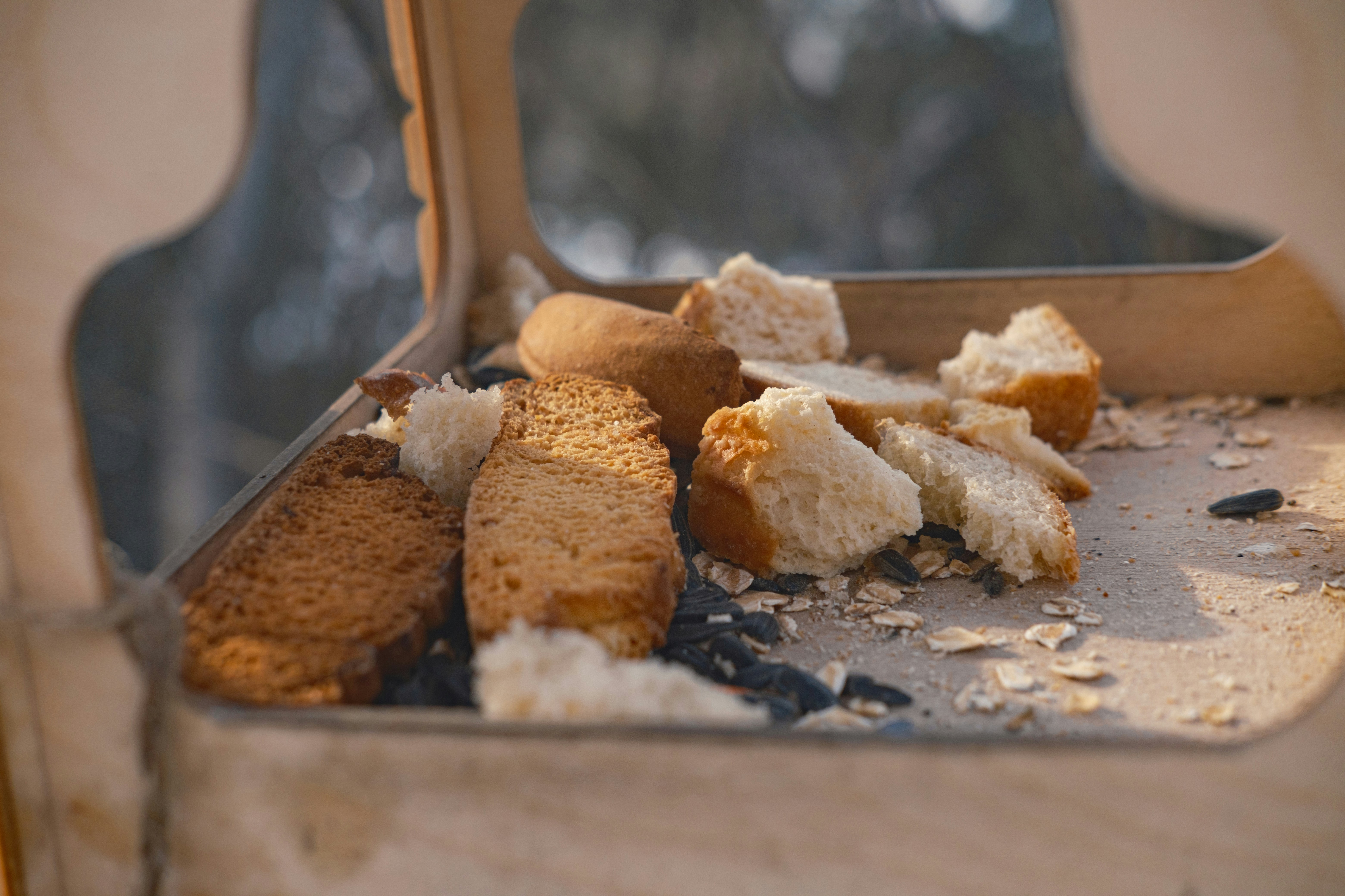 Scattered bread pieces on a surface with dark specks.
