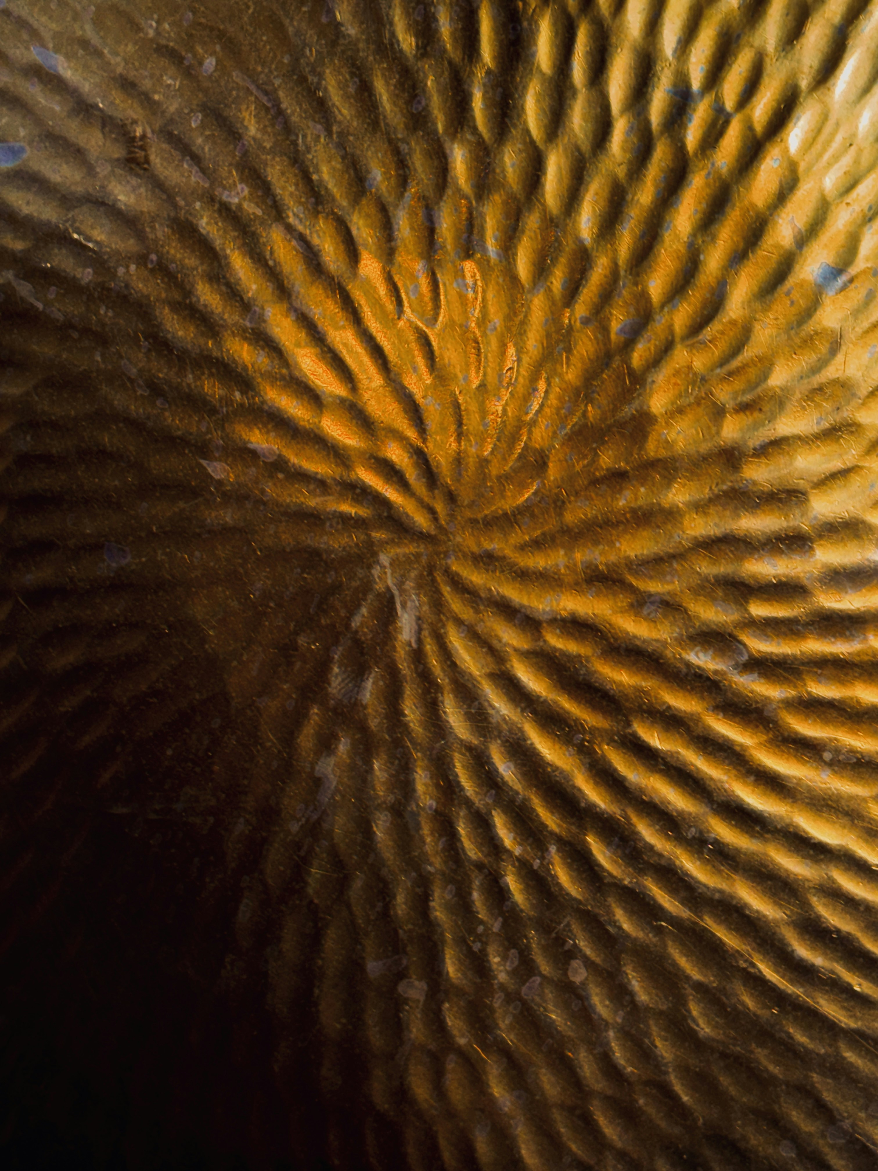 Close de um padrão dourado, texturizado e circular