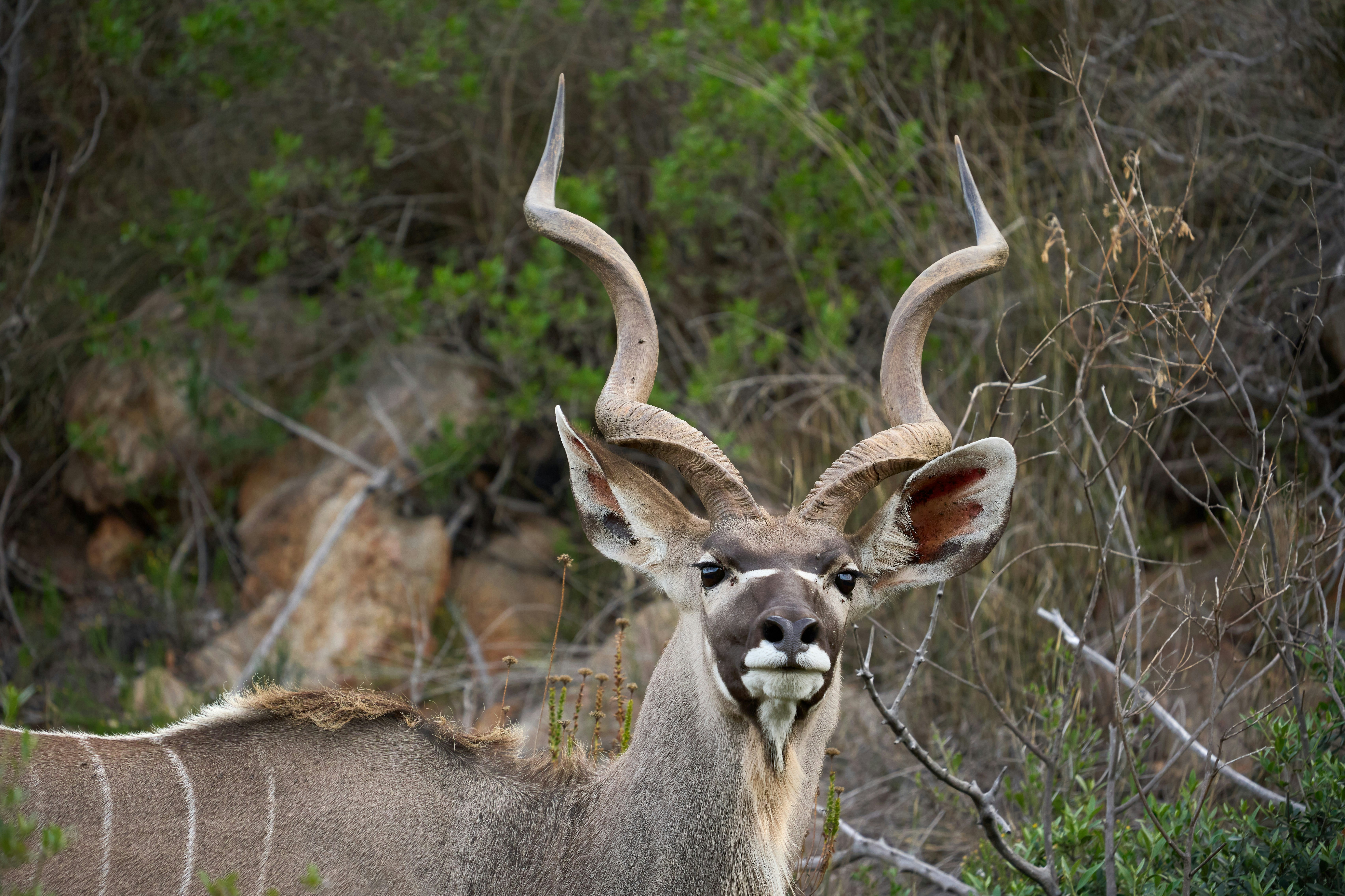 Photo by wolfgang_hasselmann