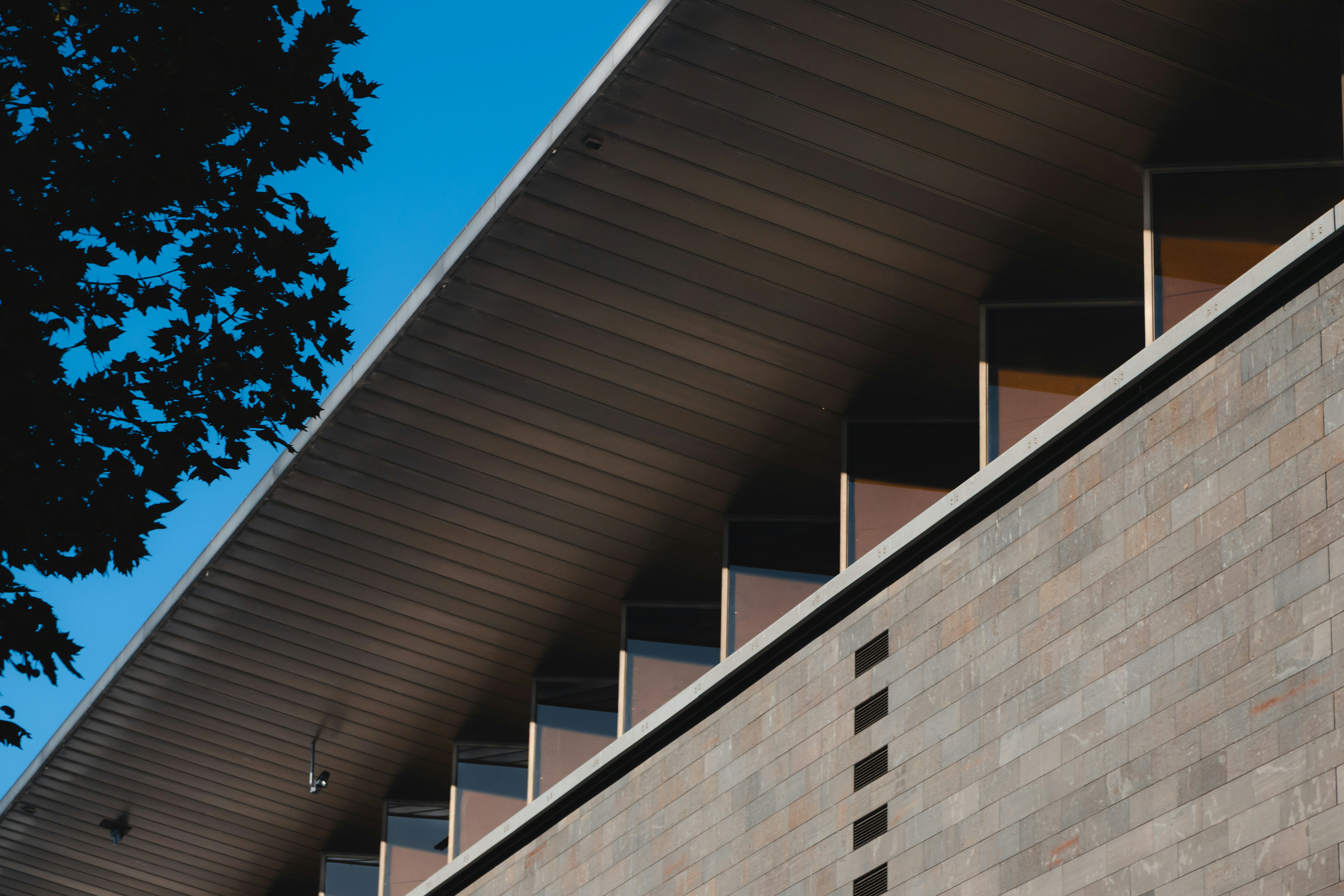 Photo by unclpenguin