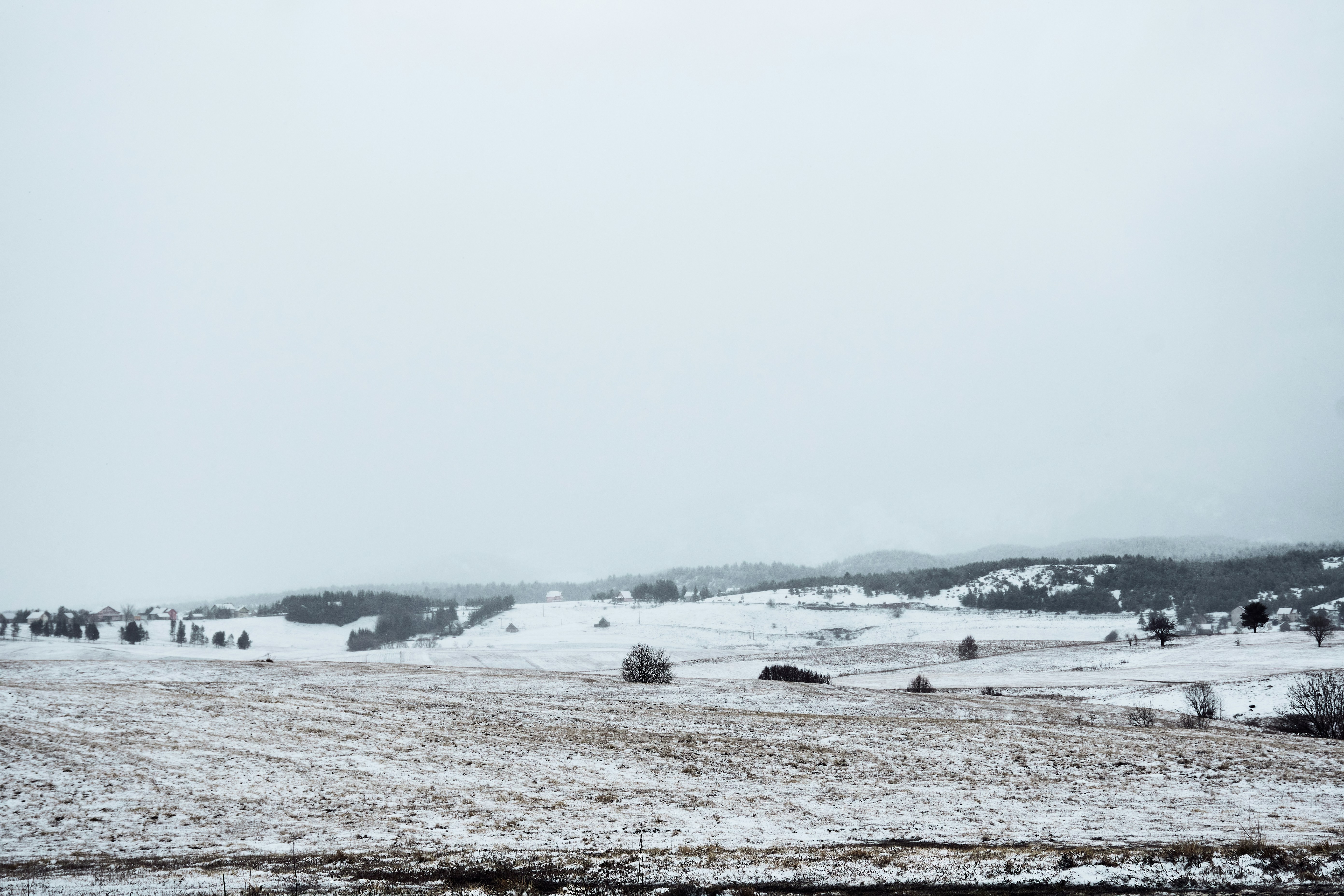 Photo by ijphot