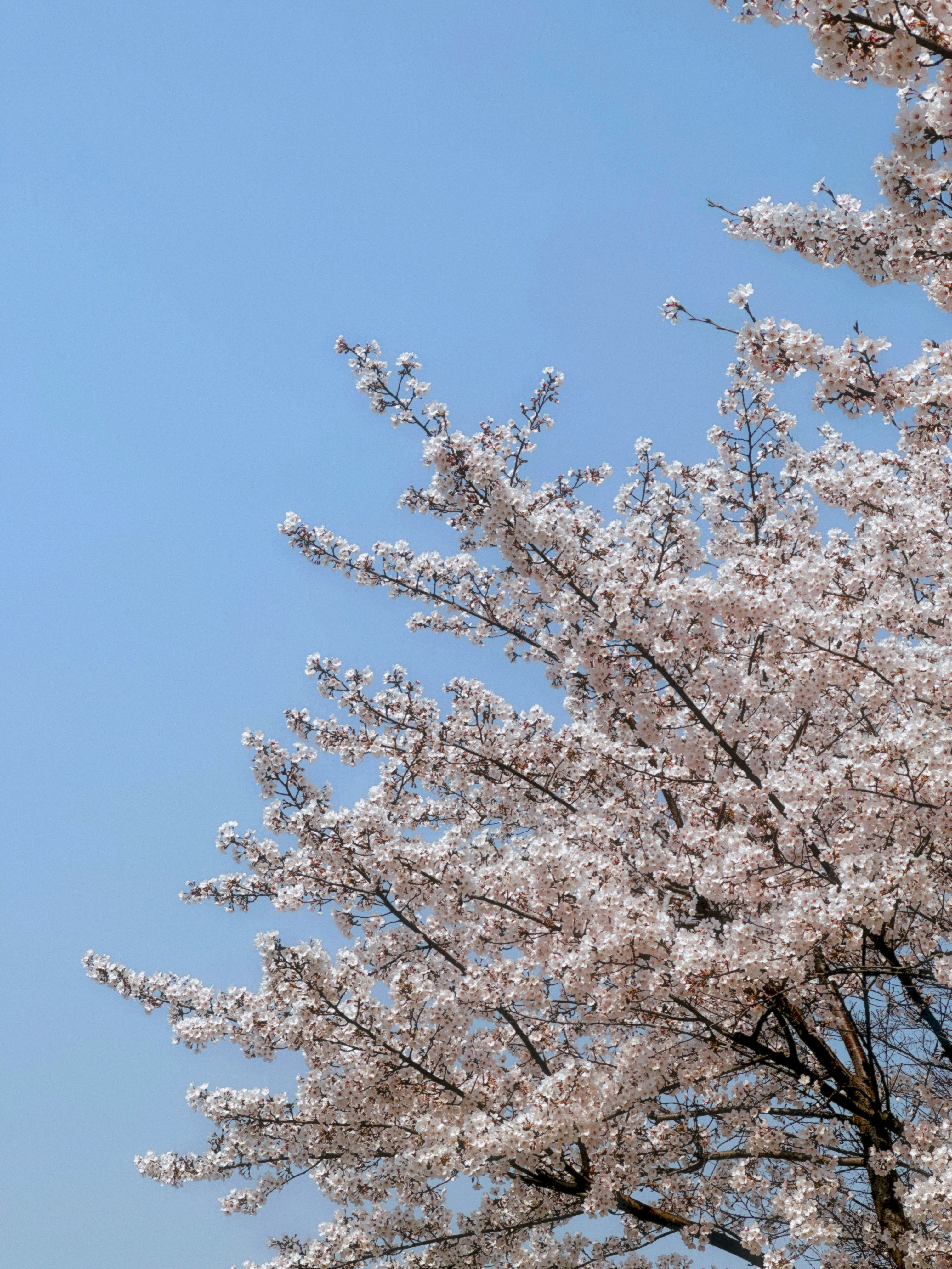 Photo by navyorange