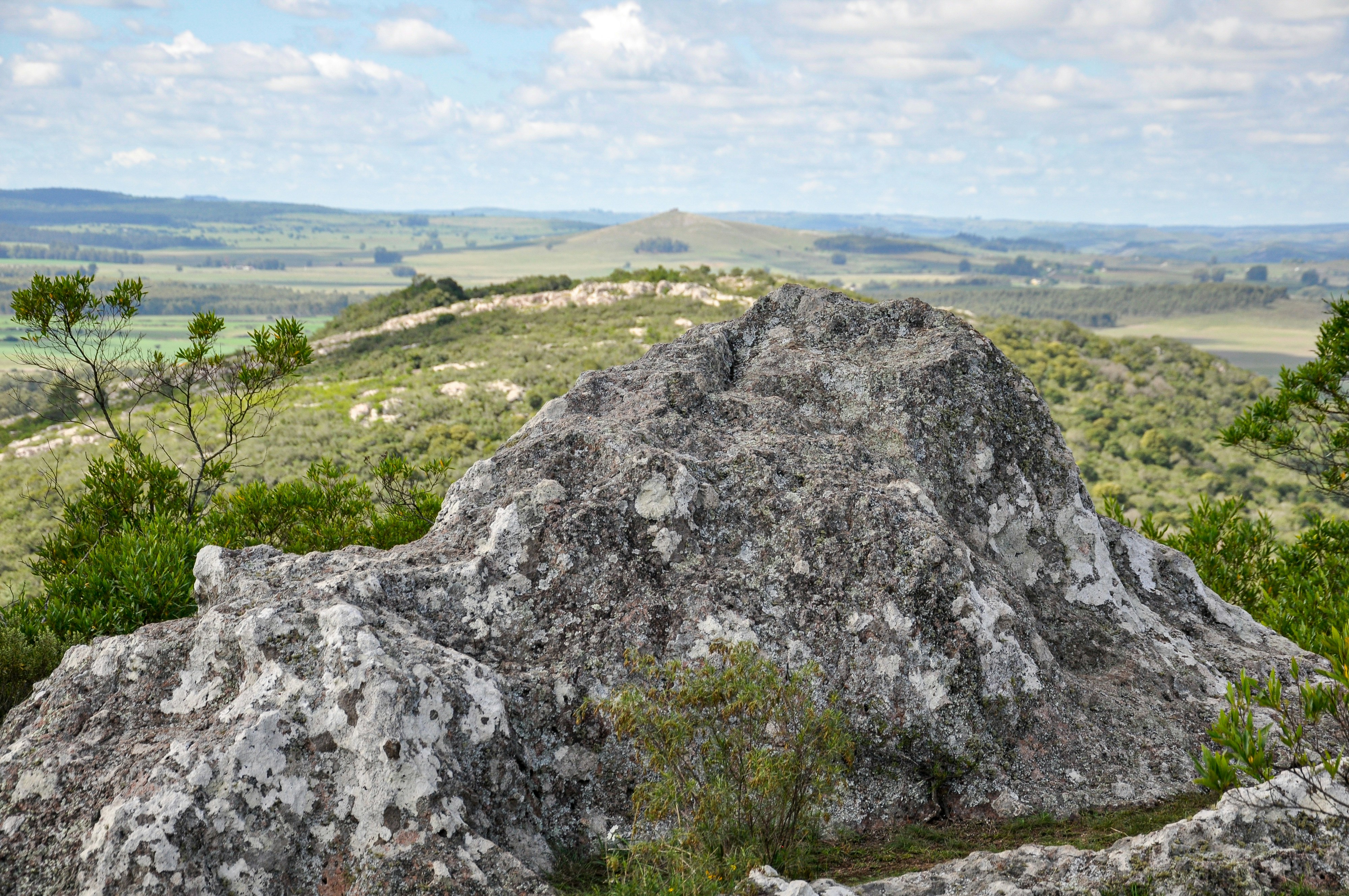 Photo by nikolaikolosov