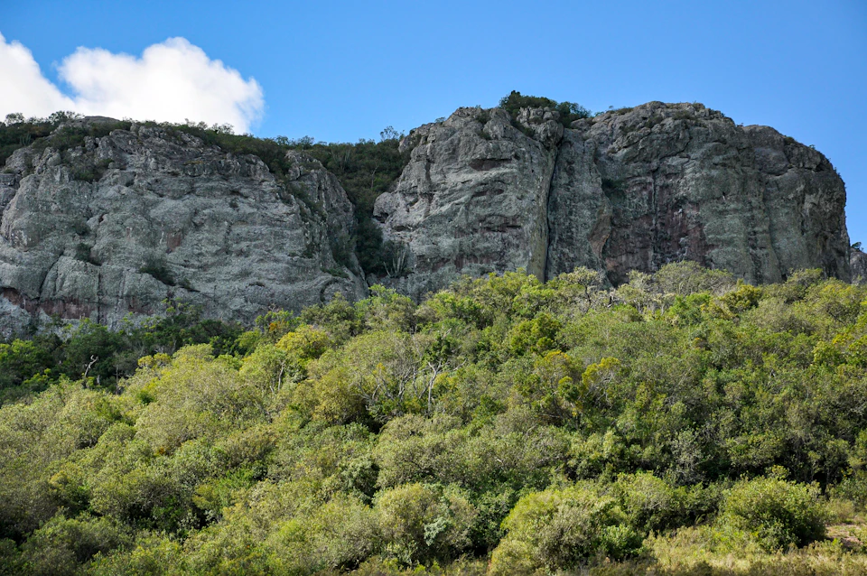 Majestic mountain range with gray rock formations surrounded by lush green vegetation and trees