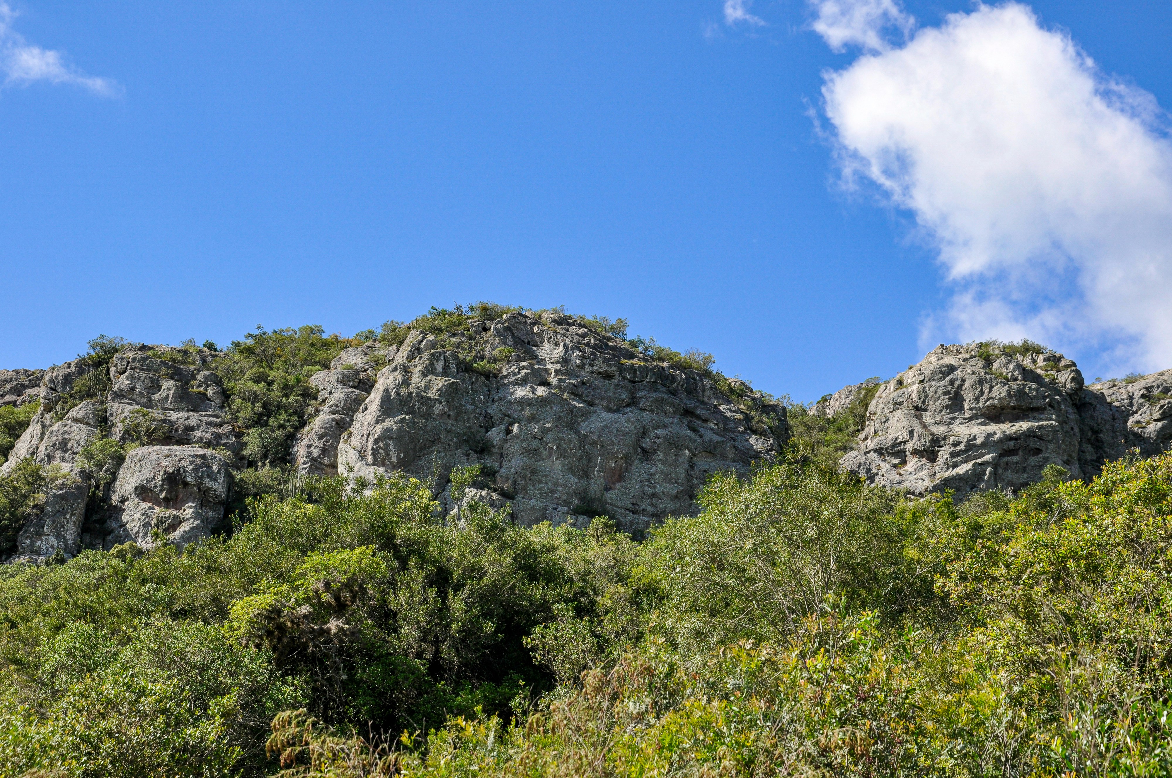 Photo by nikolaikolosov