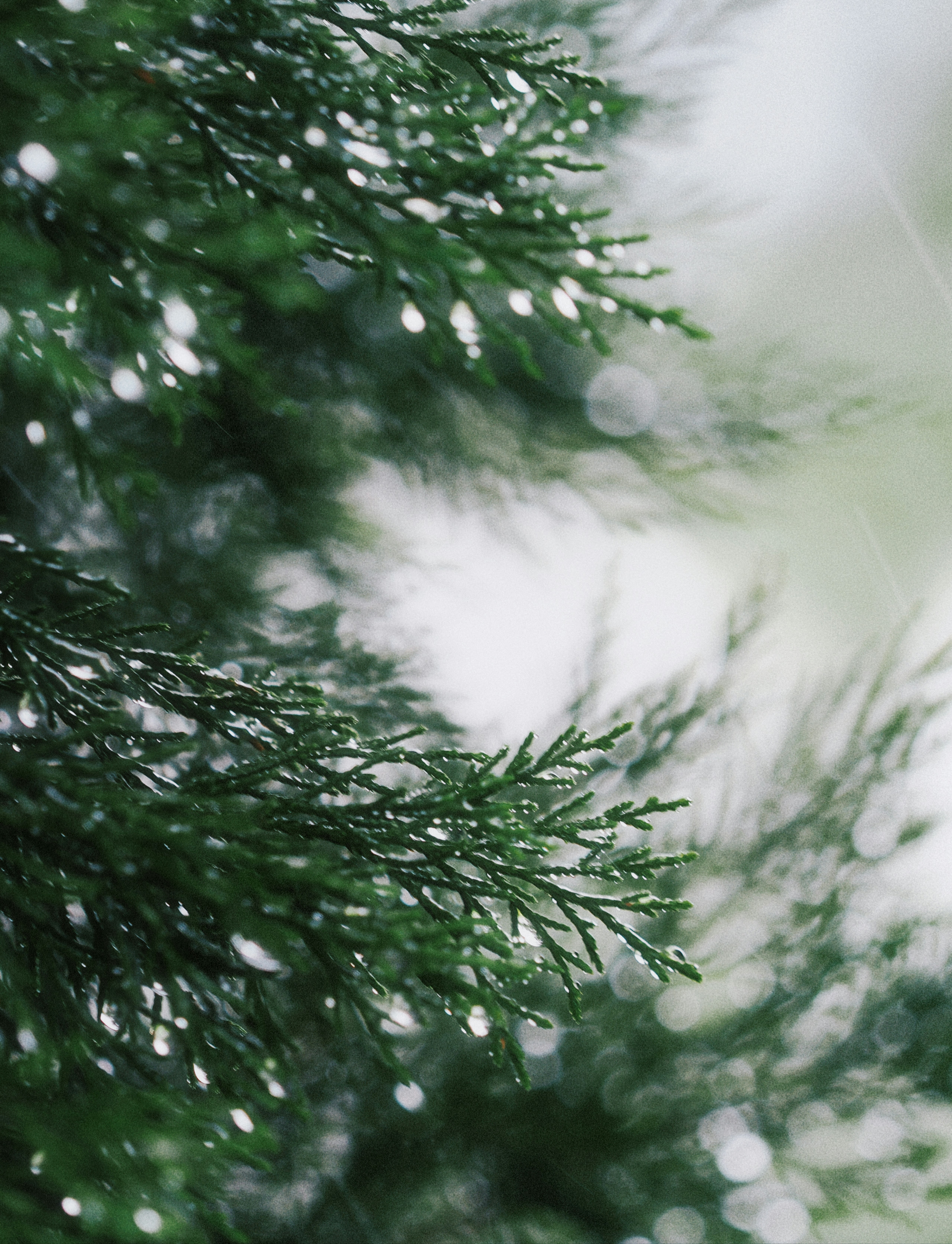 Photo by liliantruong2603