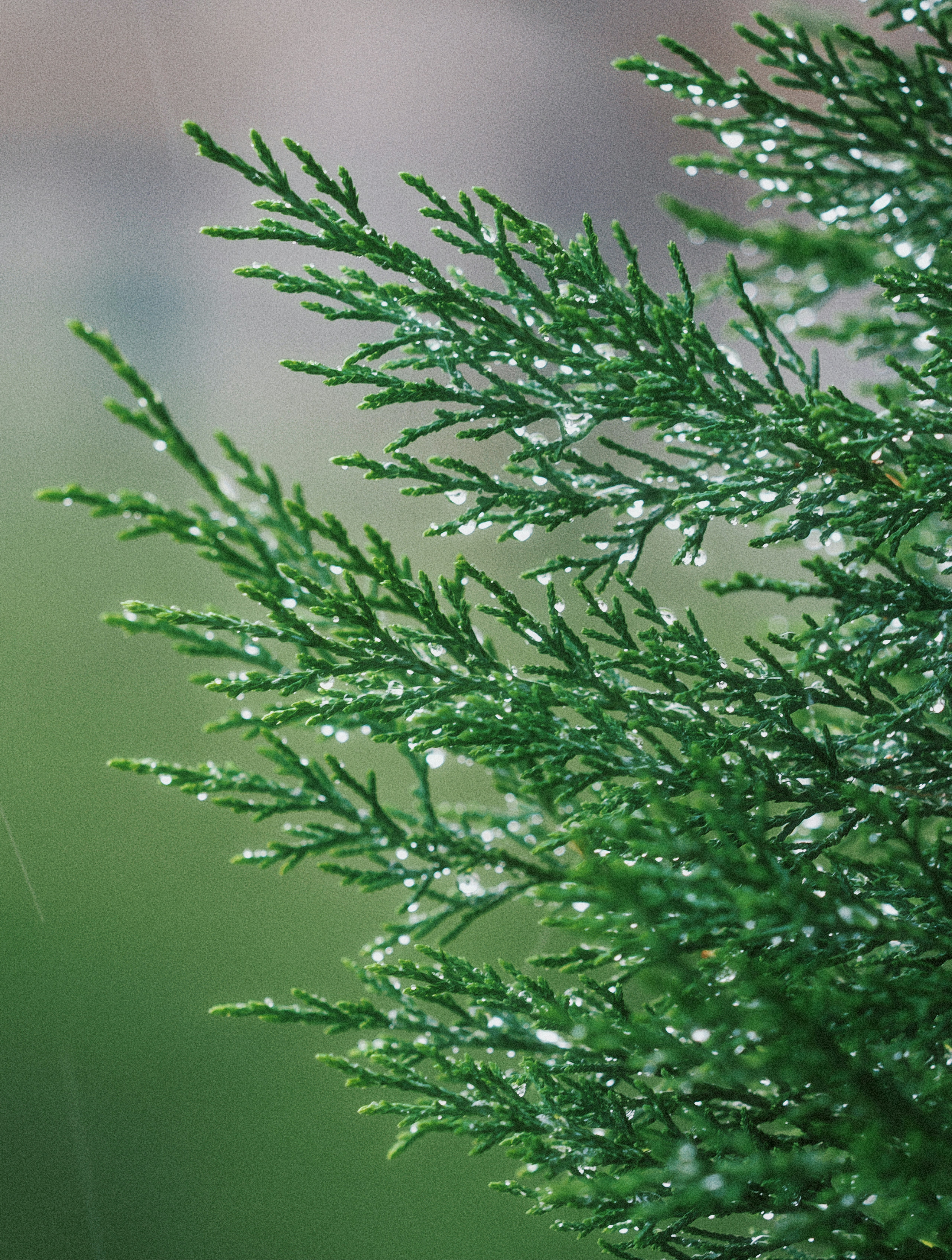 Photo by liliantruong2603