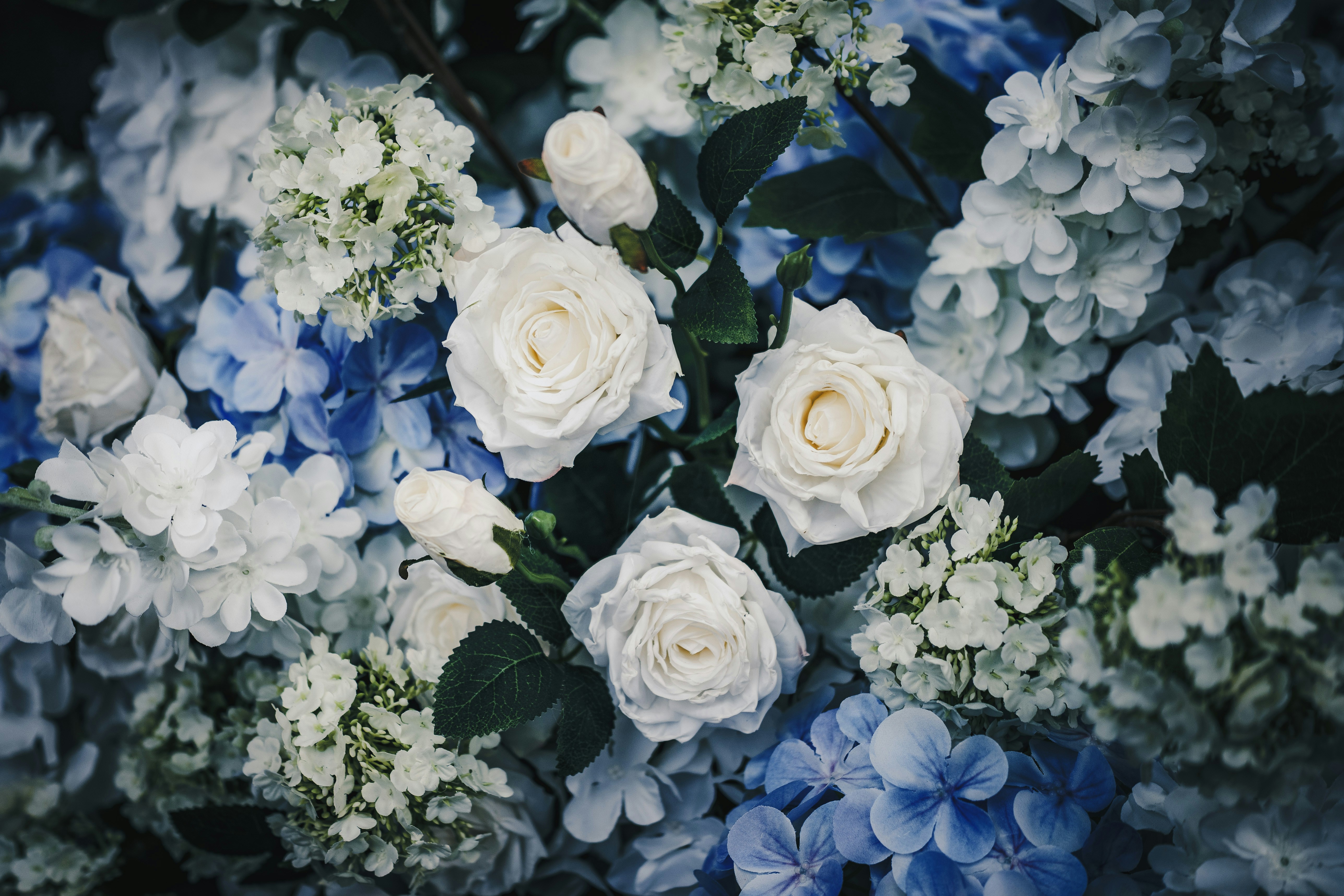 Photo by 1989folklore