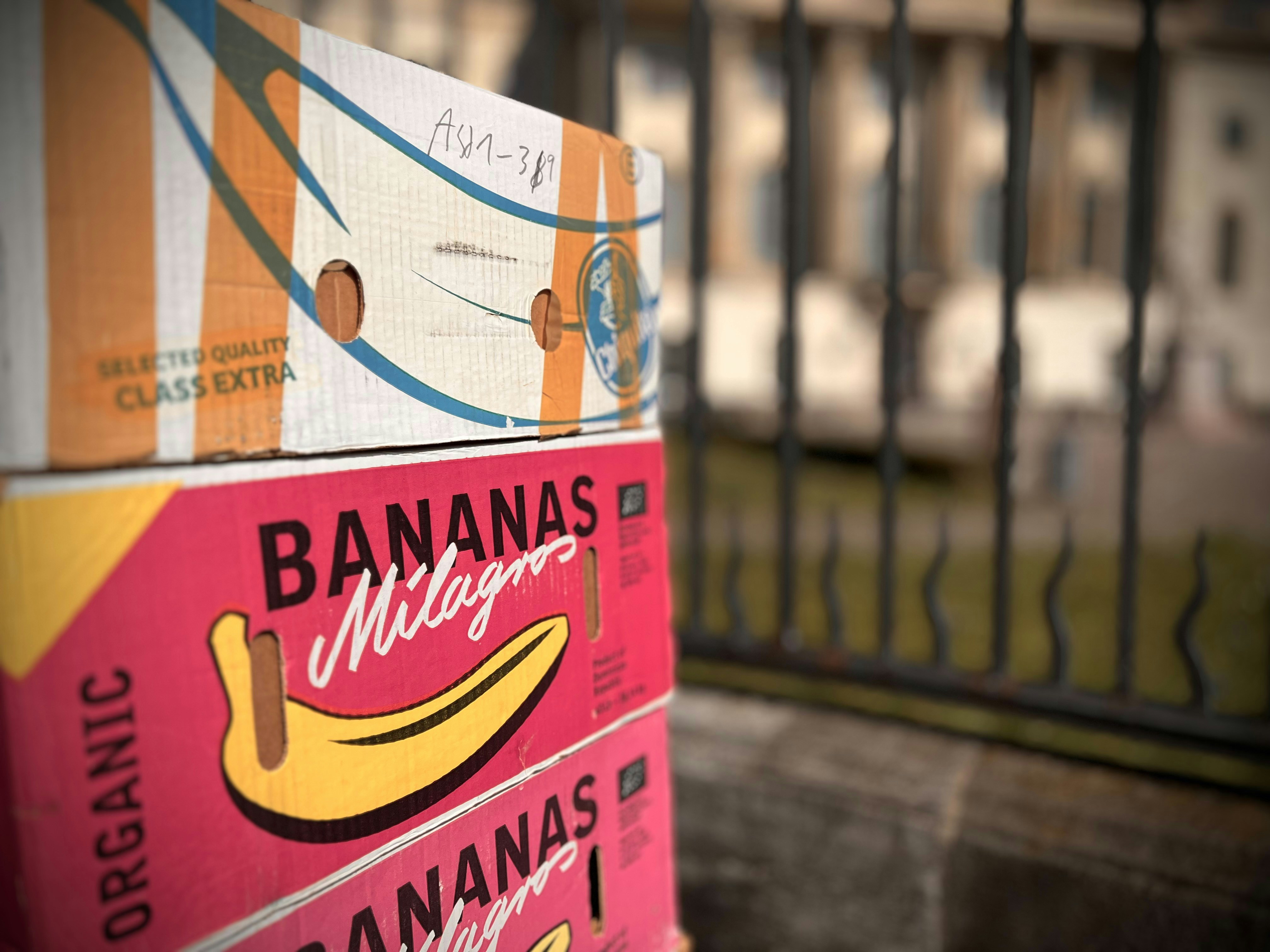 Stack of organic bananas boxes near a fence