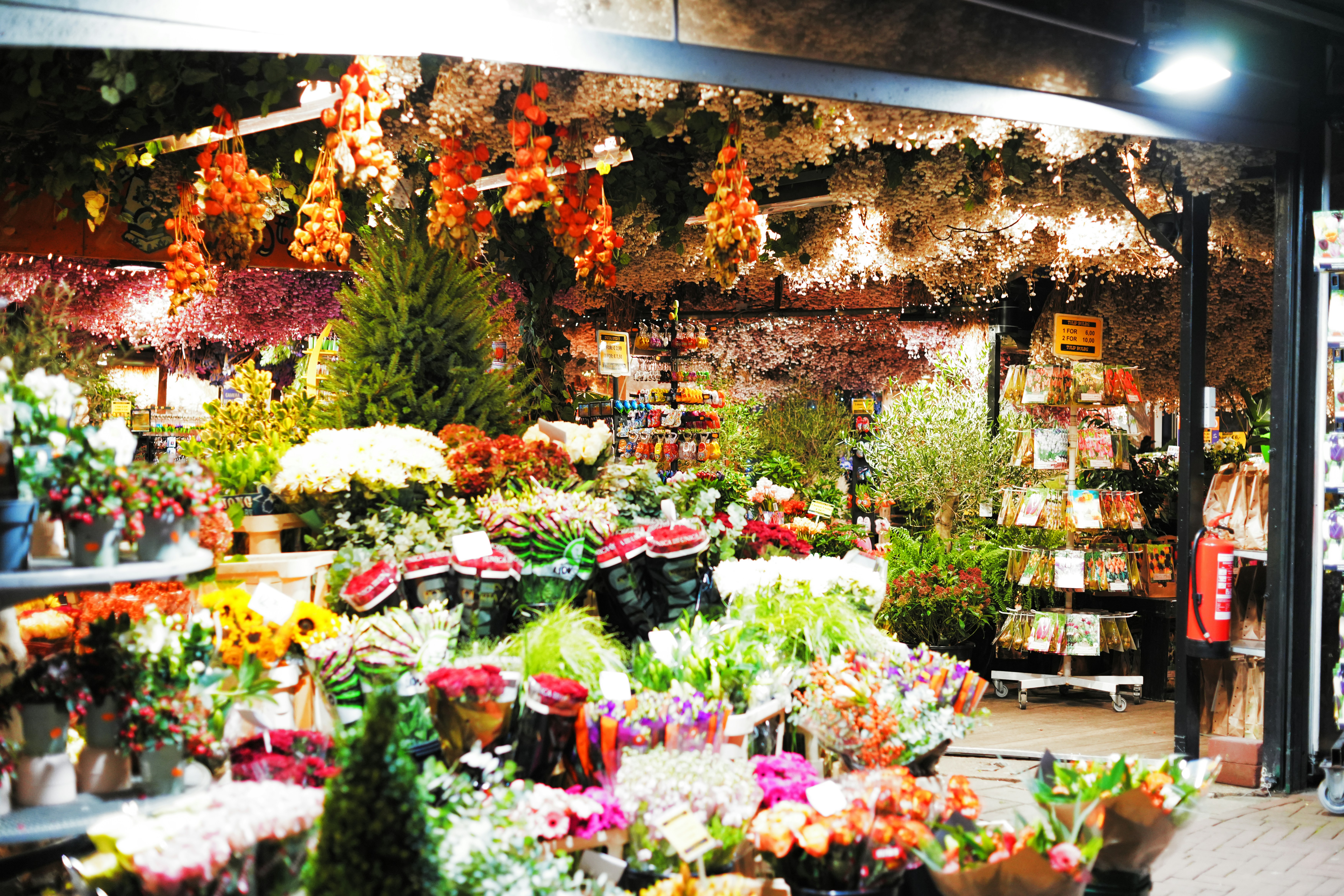 Douceur de Fleurs