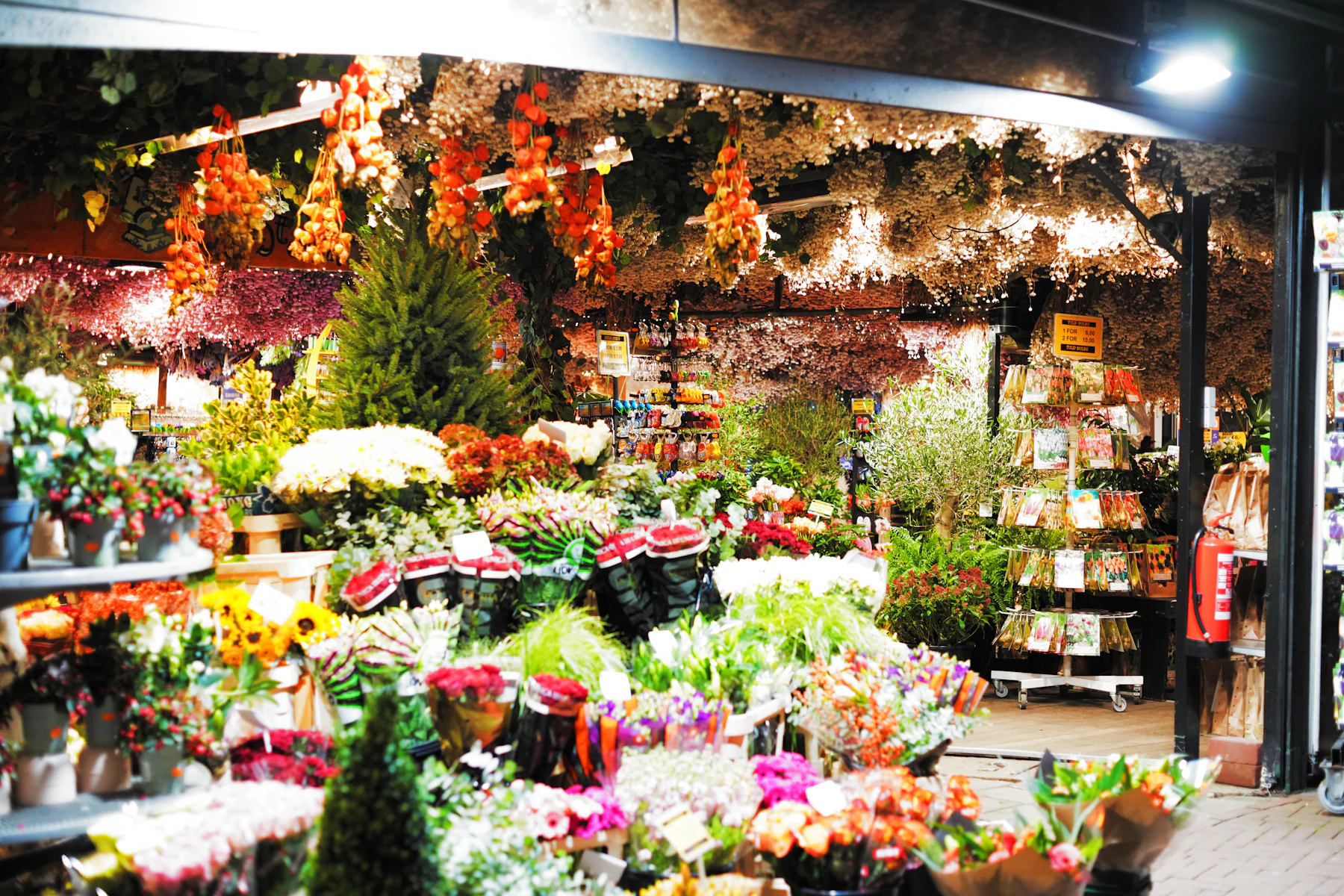 A flower shop filled with colourful blooms