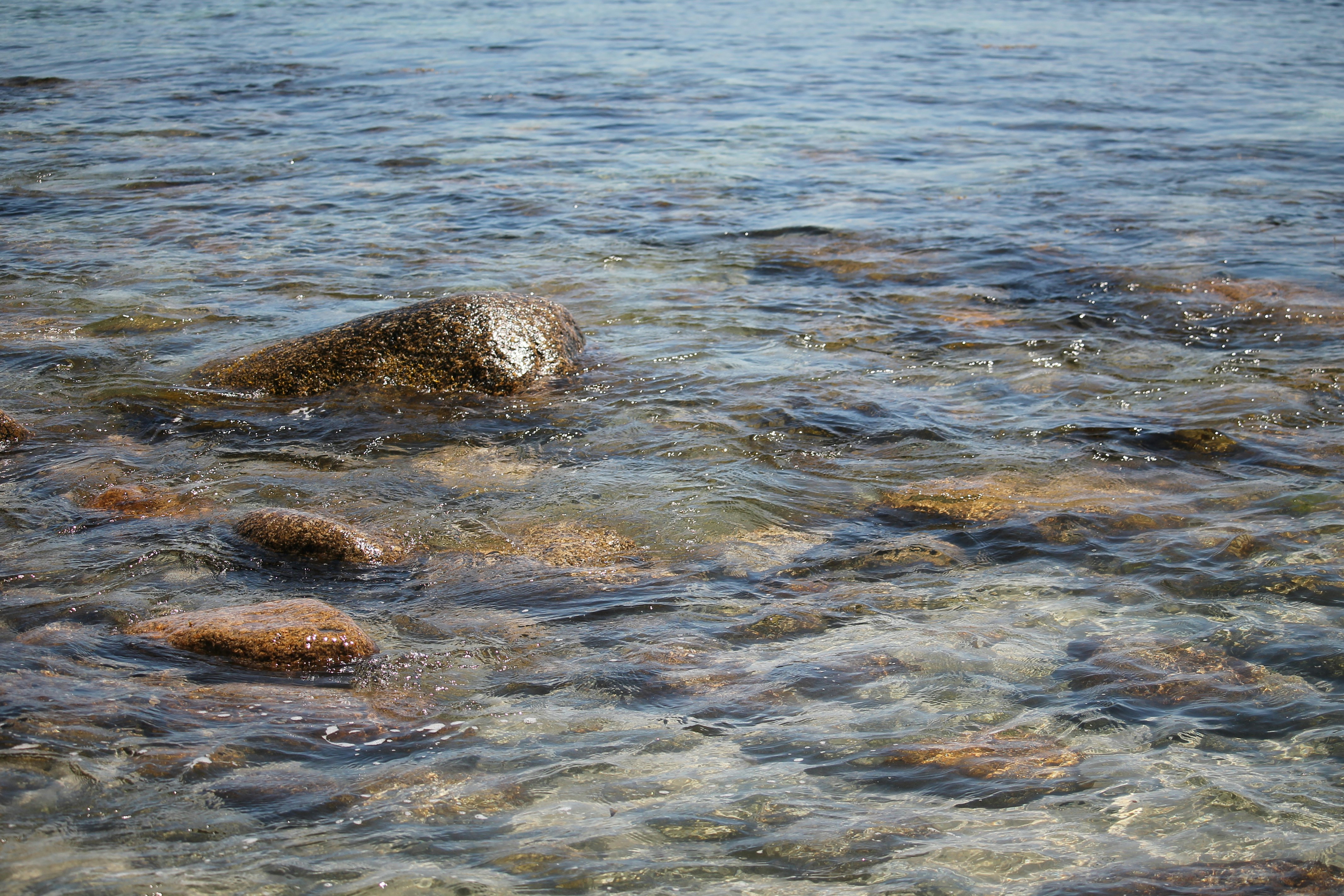 Clear water flows over submerged river rocks.