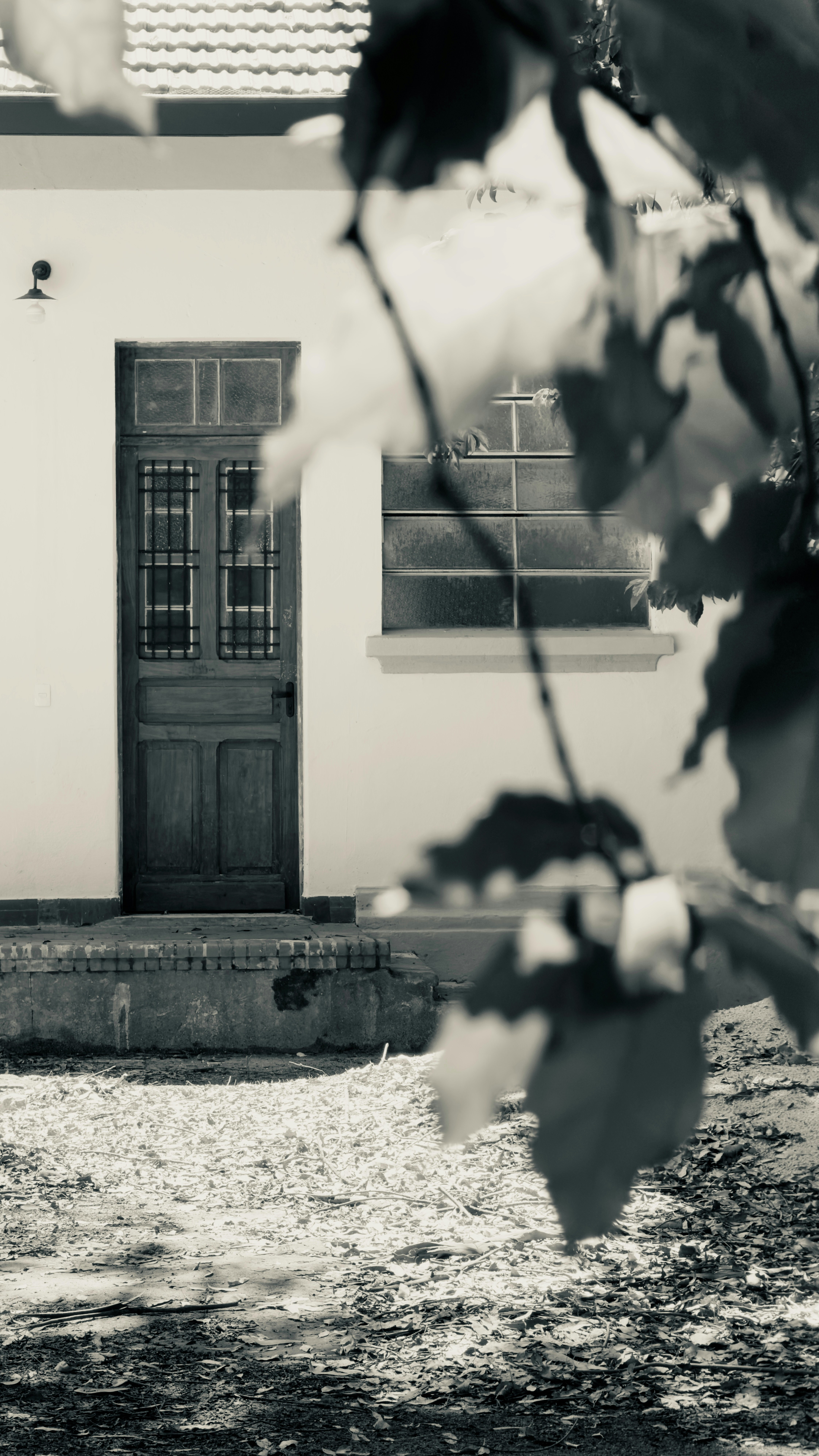 Eine alte Holztür und ein Fenster an einem Gebäude.