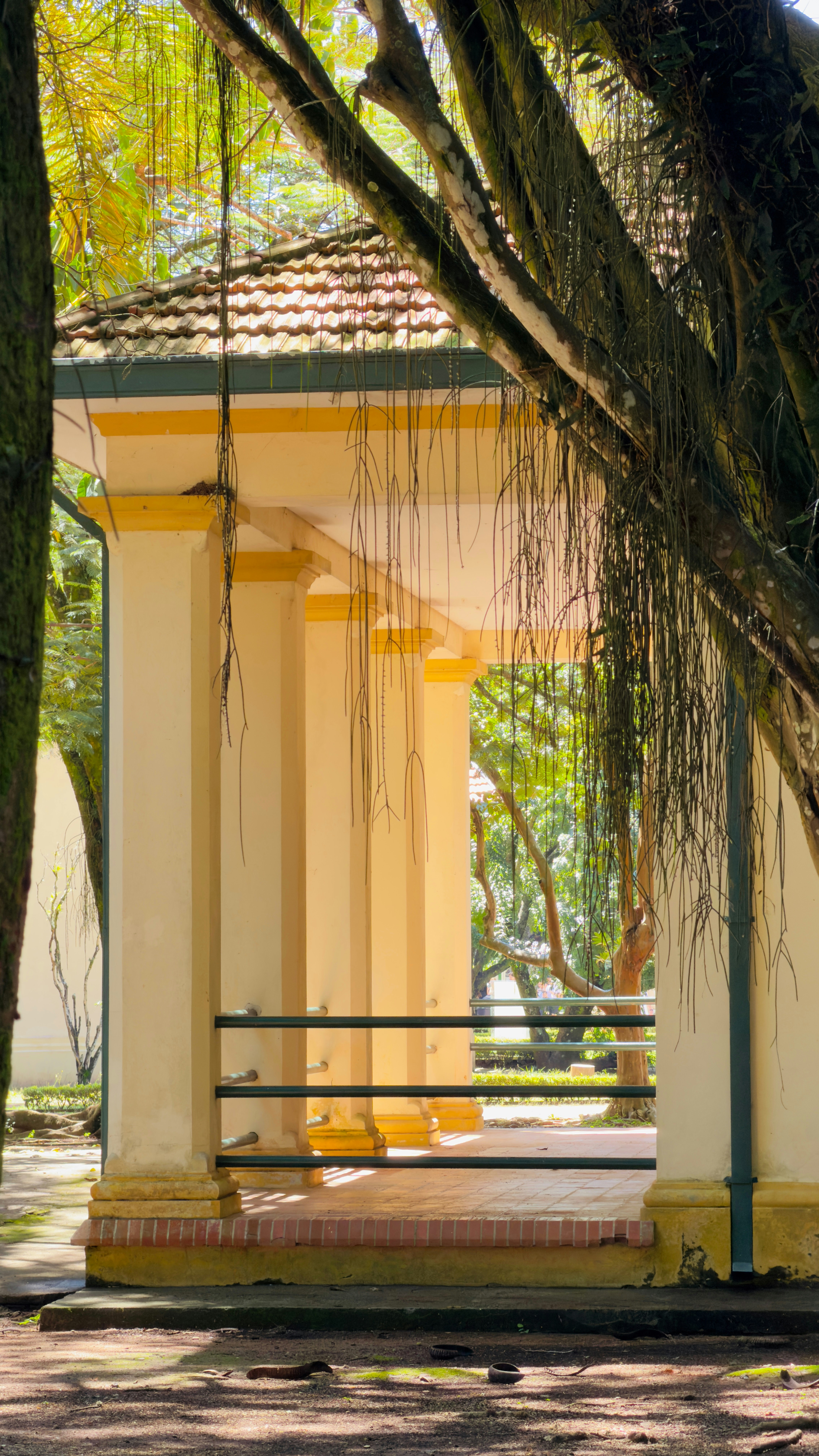 Ein überdachter Pavillon mit Säulen und hängenden Lianen