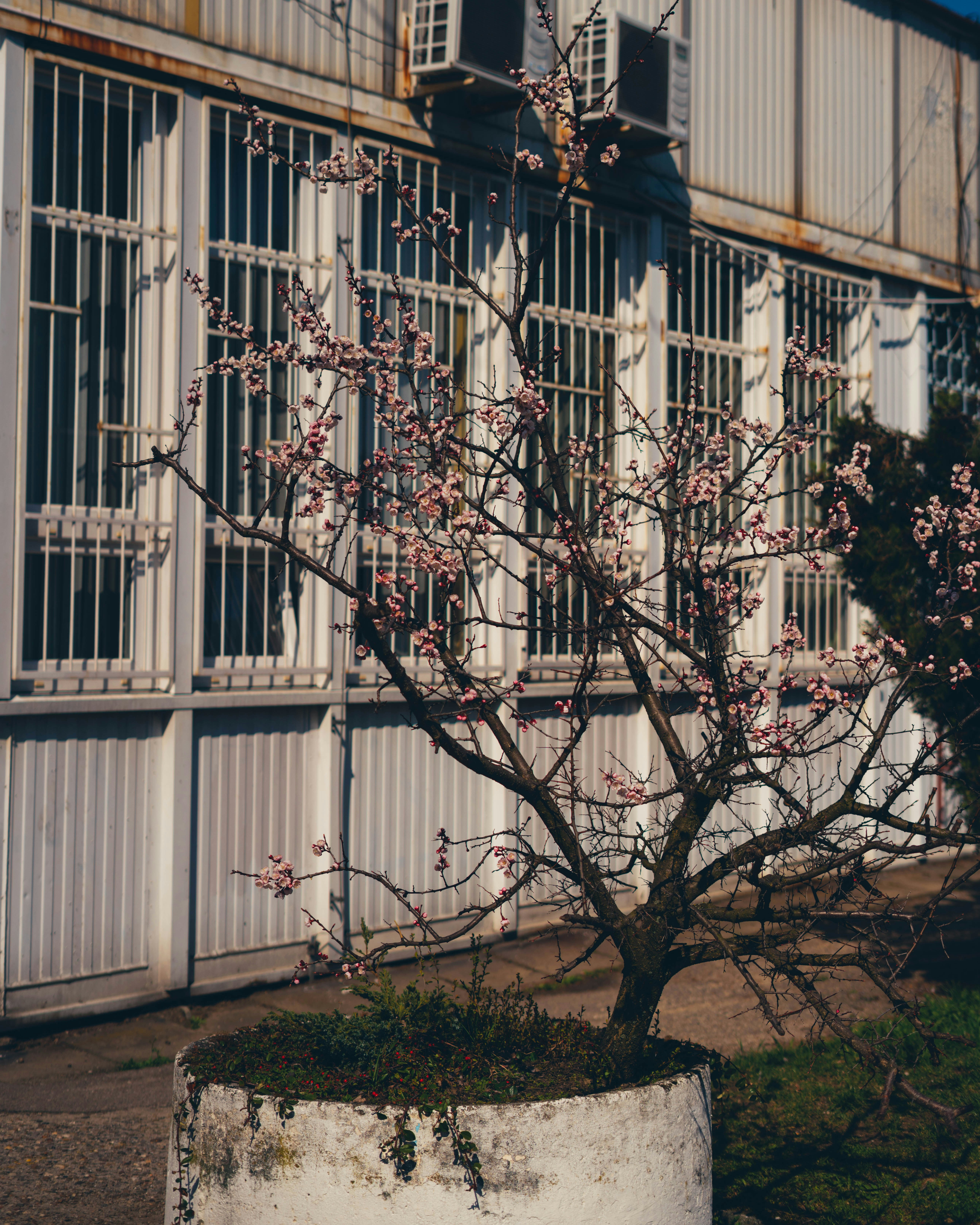 Photo by hetmanphoto