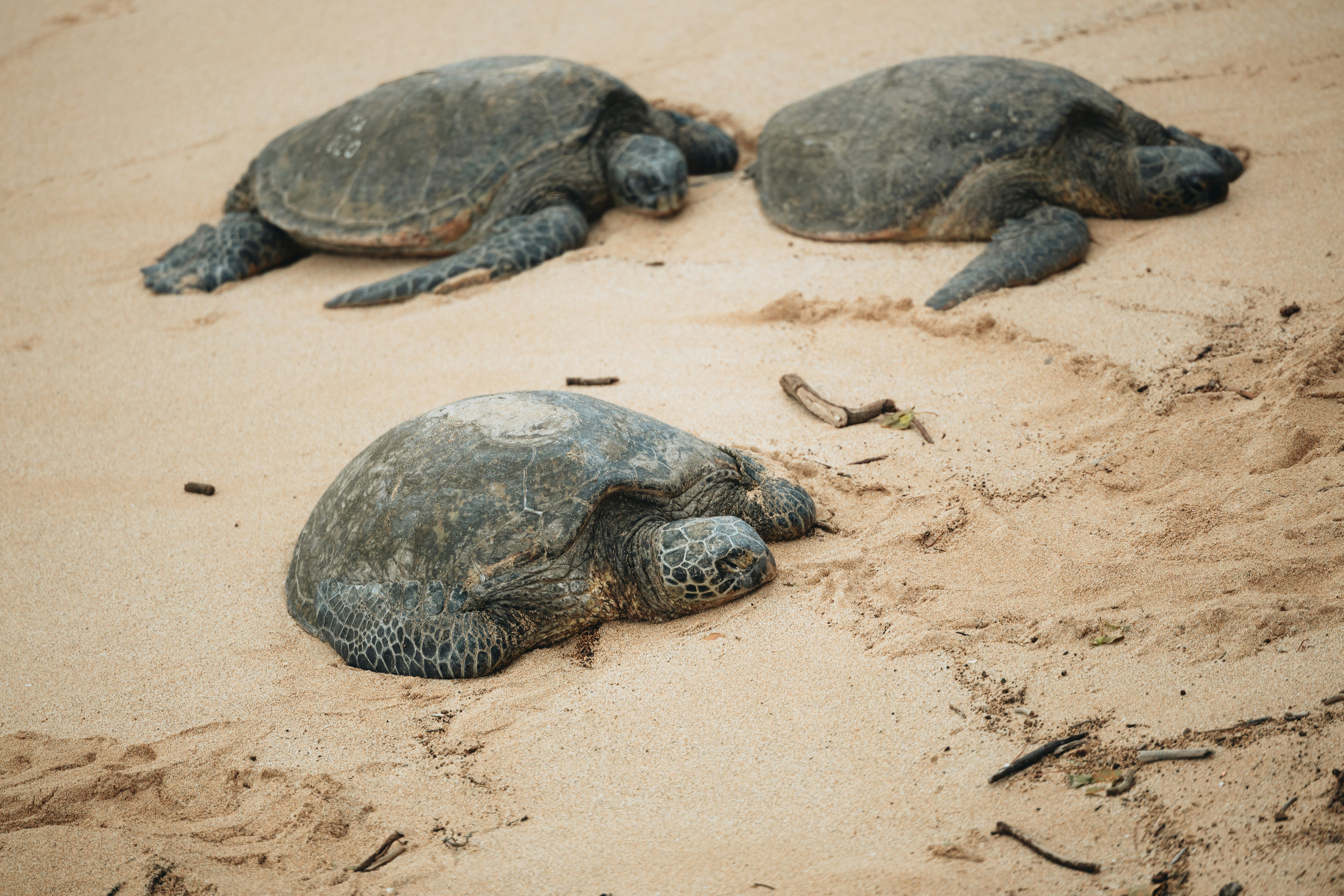 Photo by willhaddock