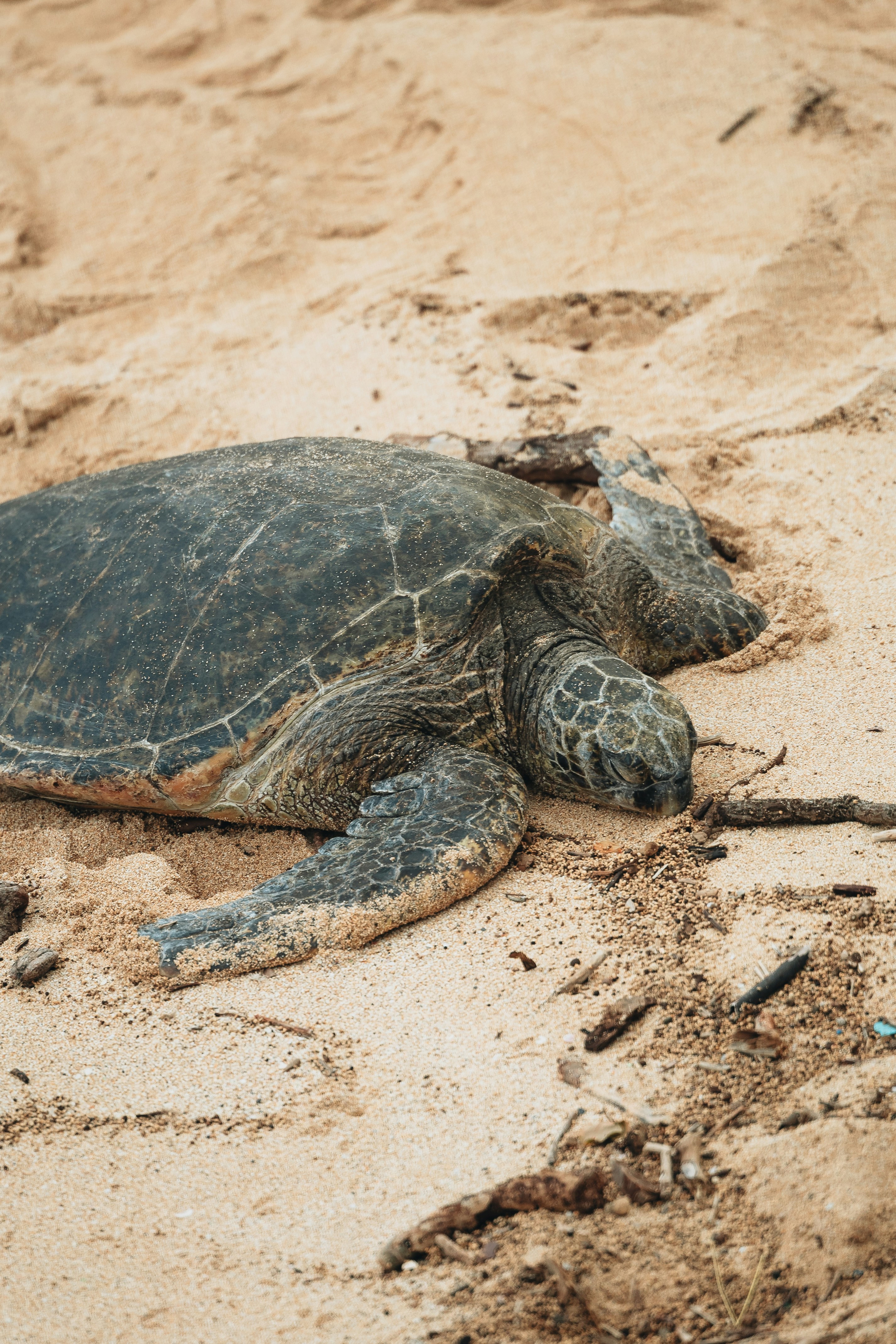 Photo by willhaddock