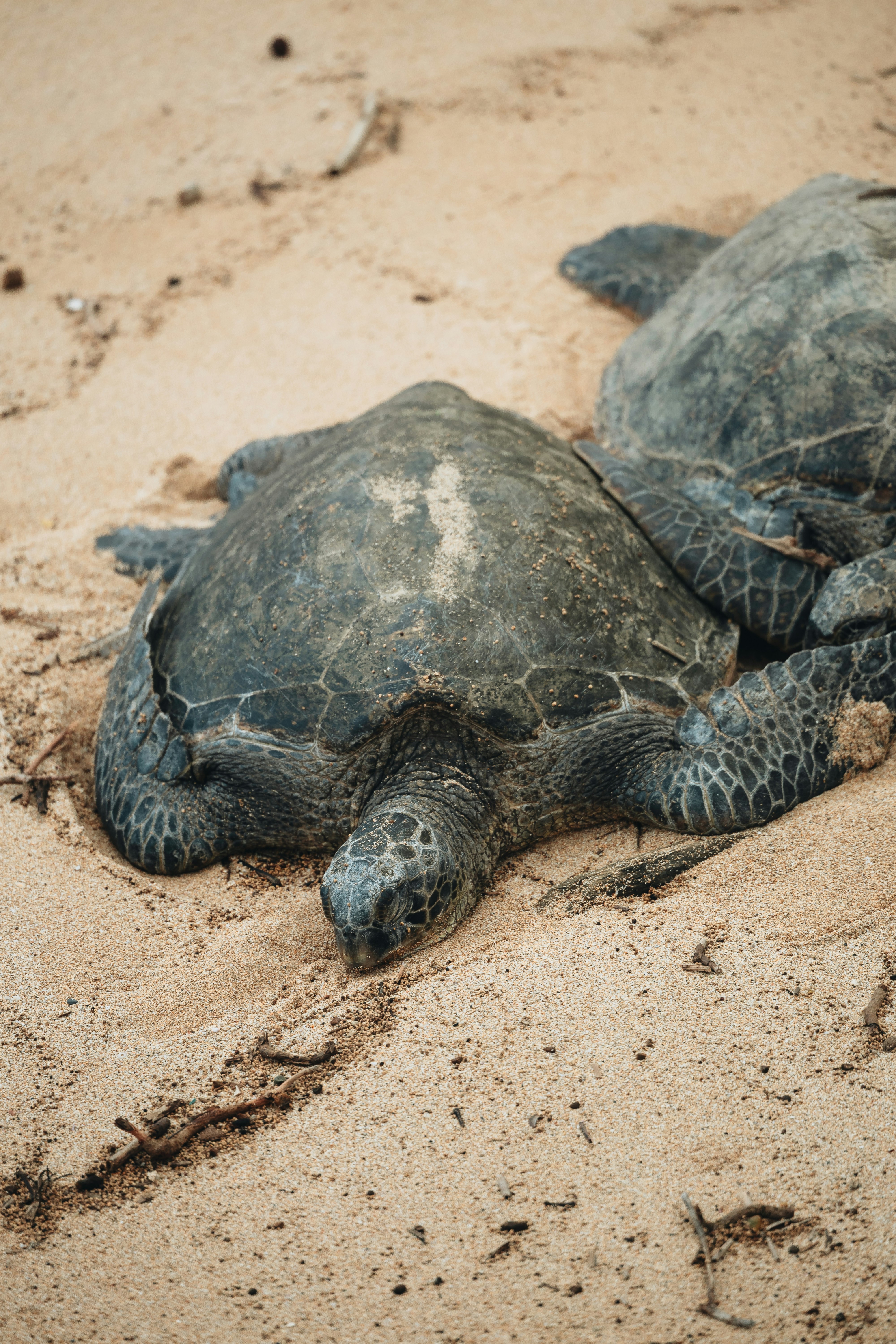 Photo by willhaddock