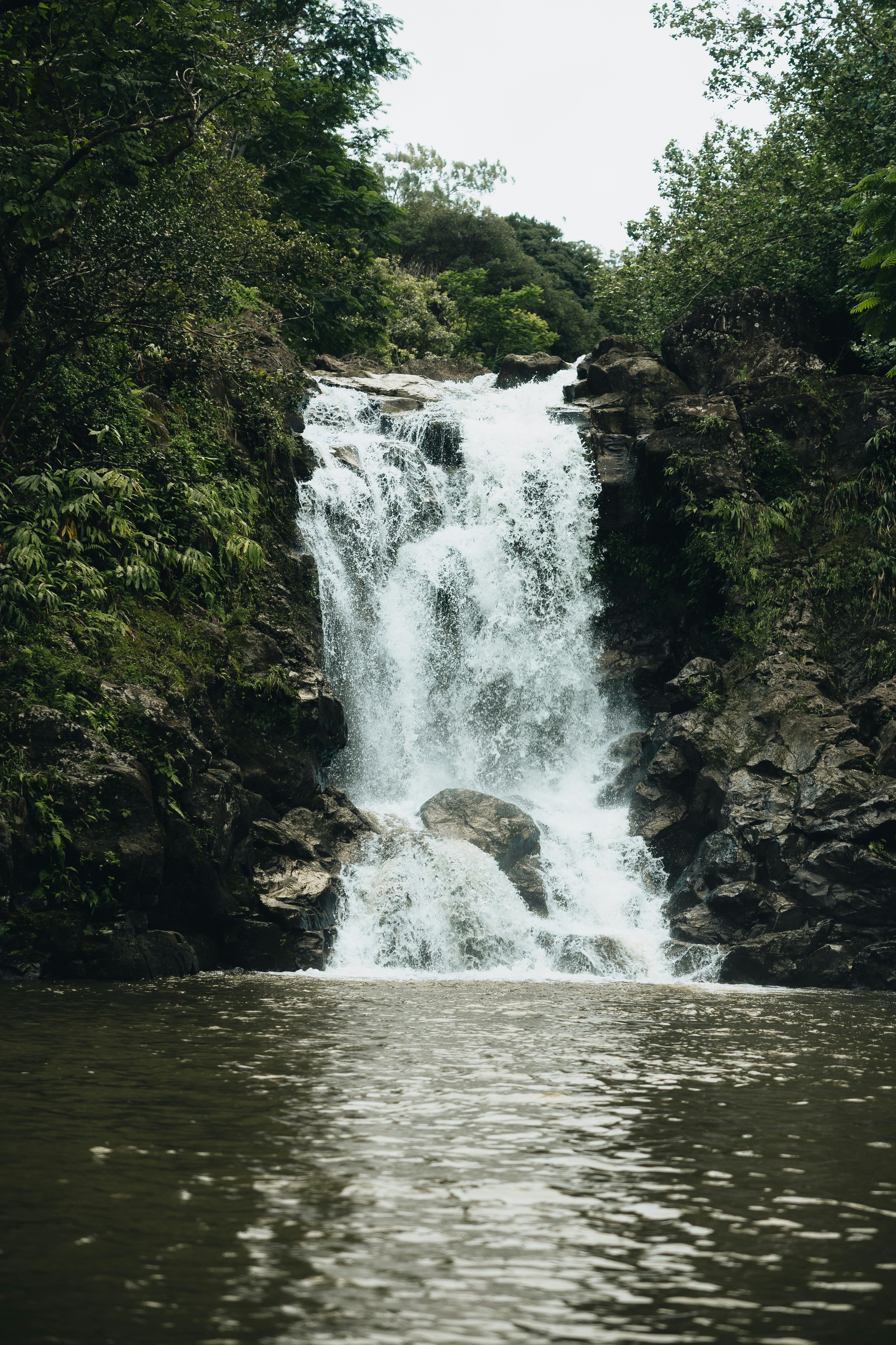 Photo by willhaddock