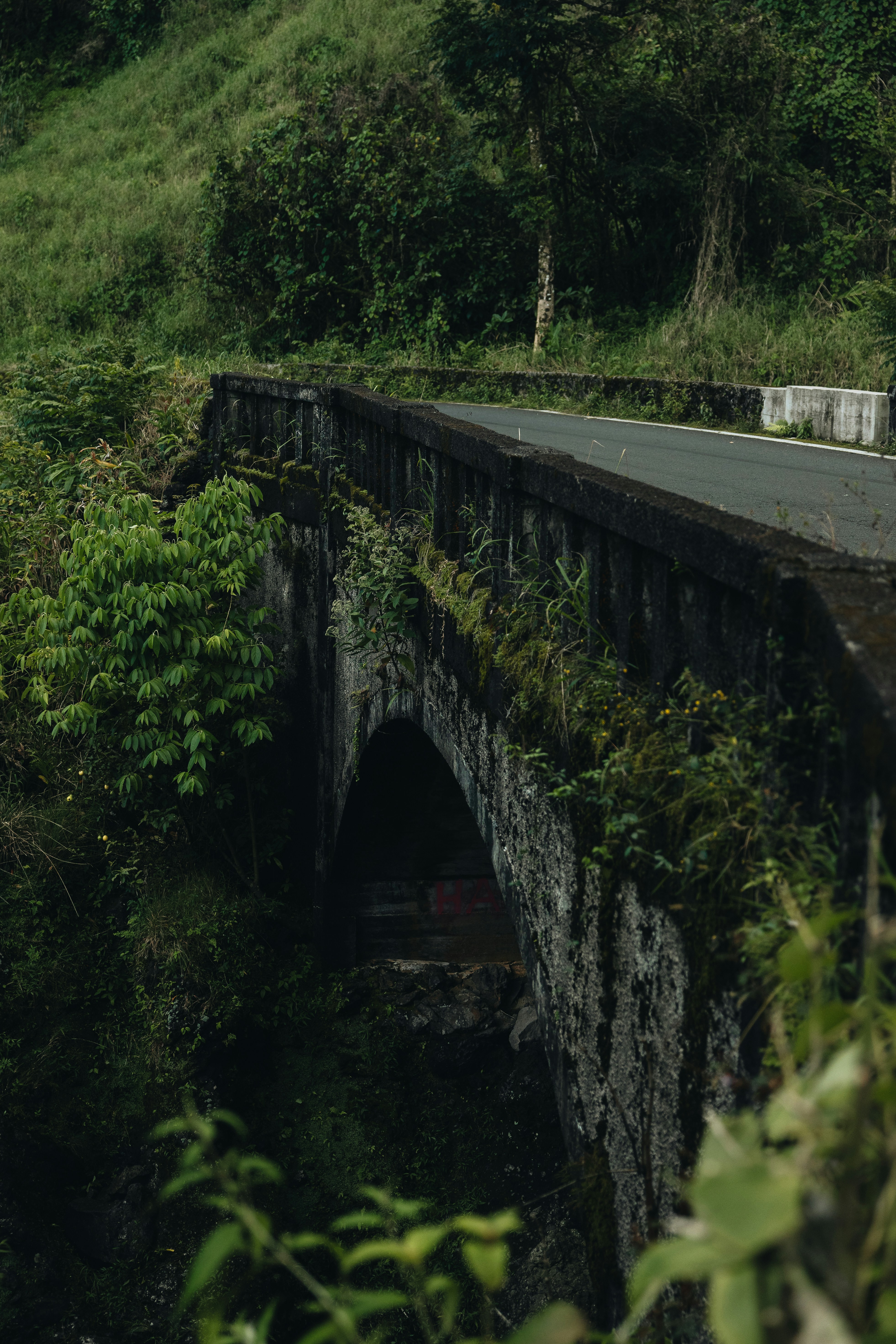 Photo by willhaddock