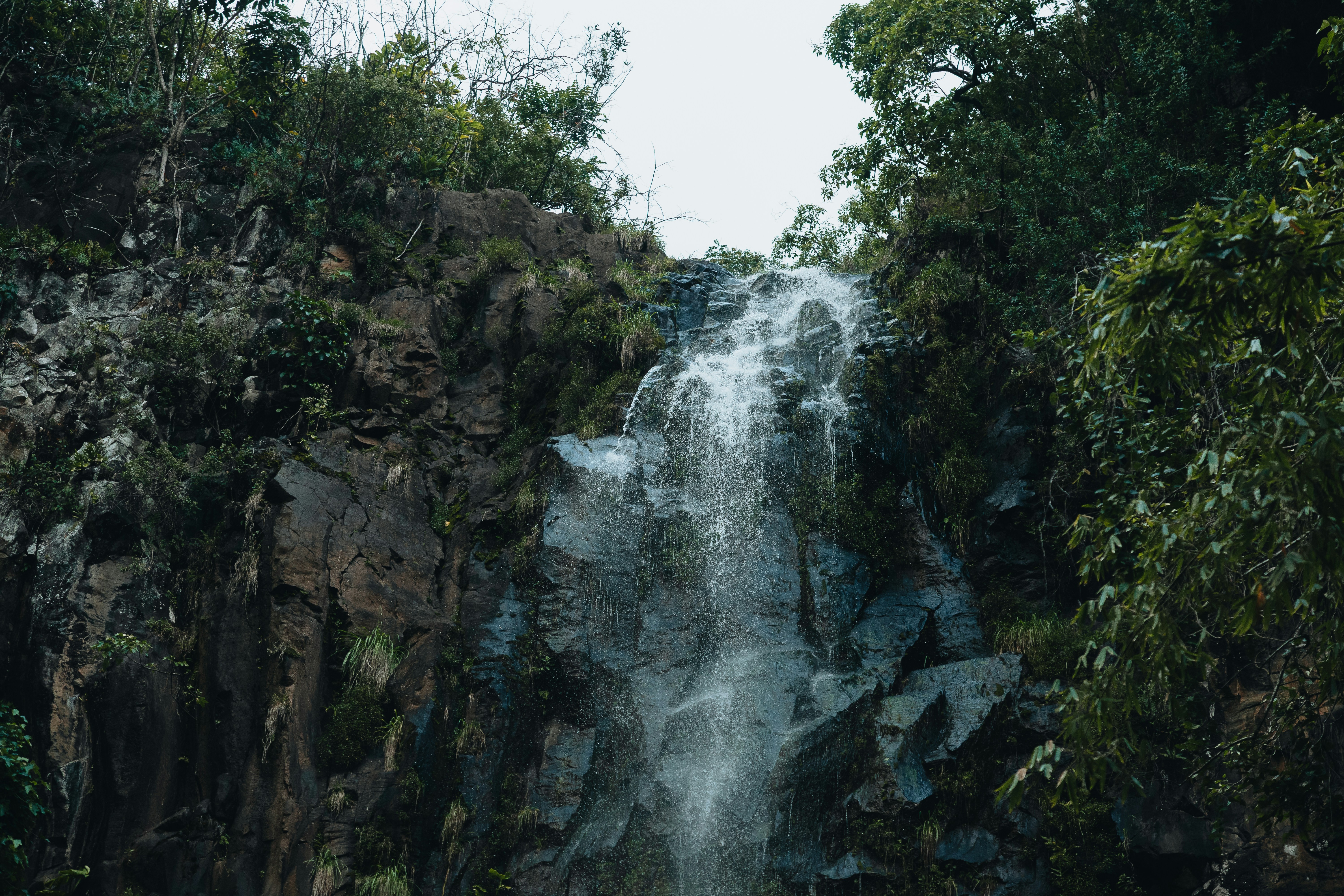 Photo by willhaddock