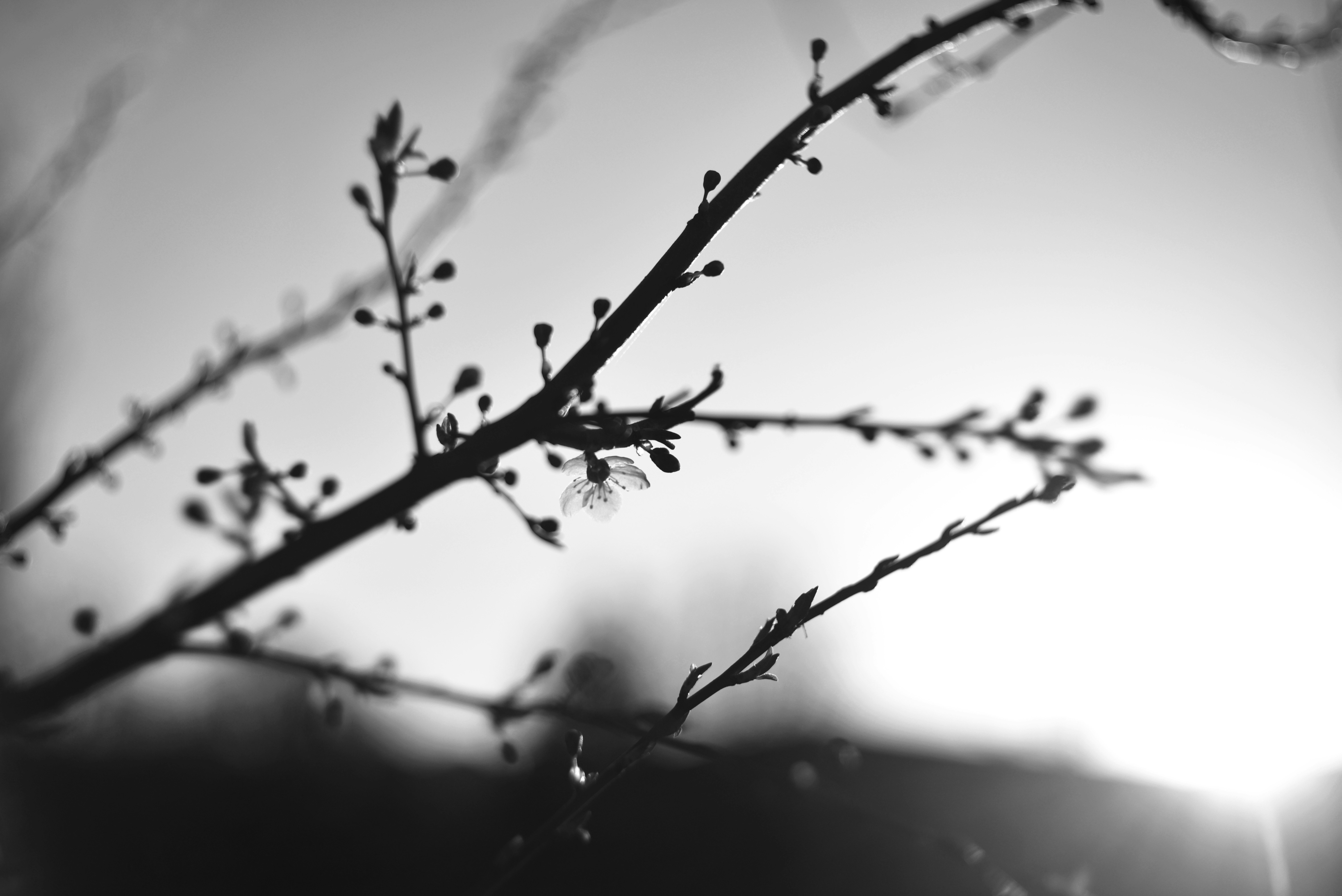 Photo by cherstve_pechivo