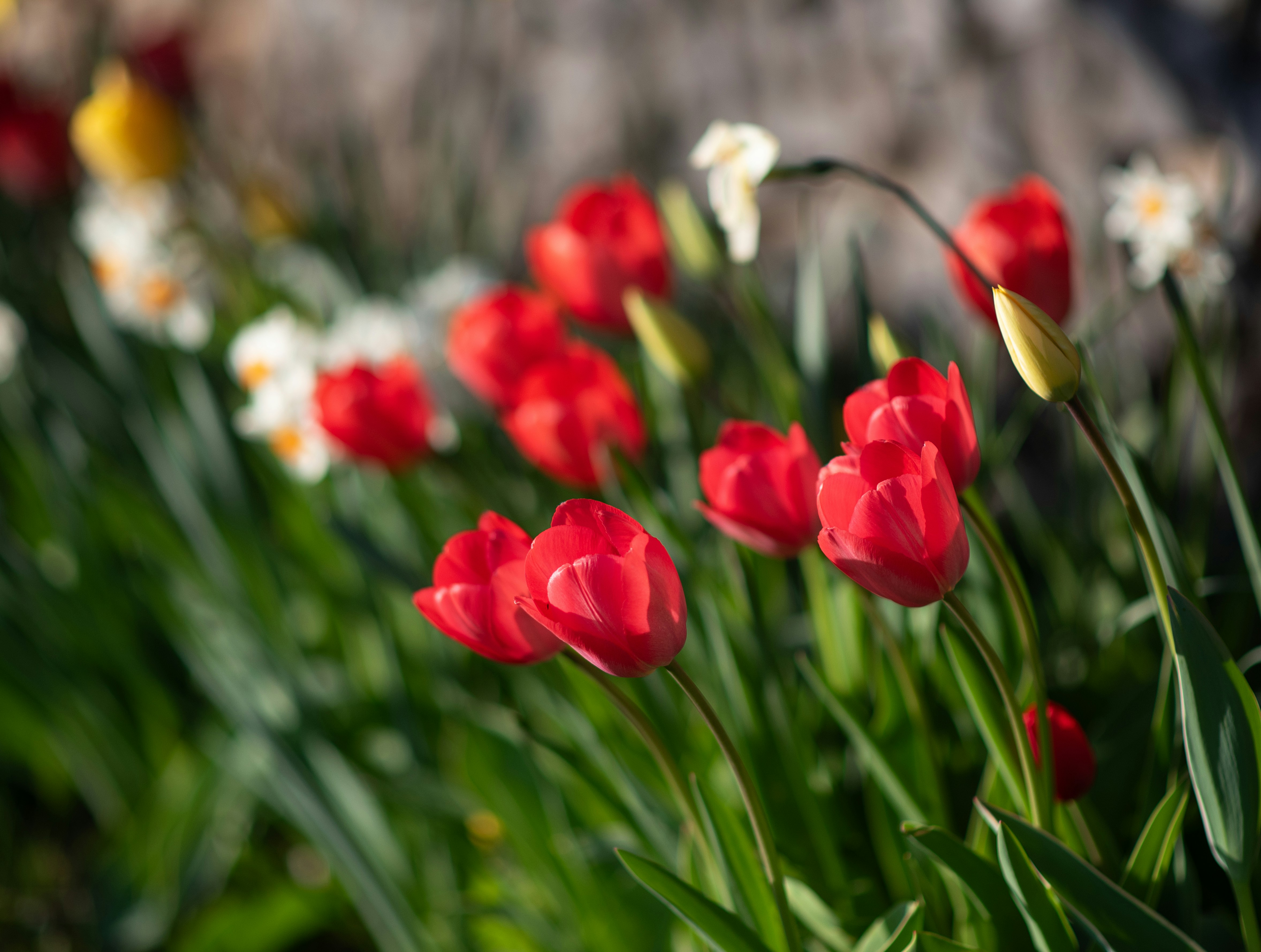 Photo by nadine_gern