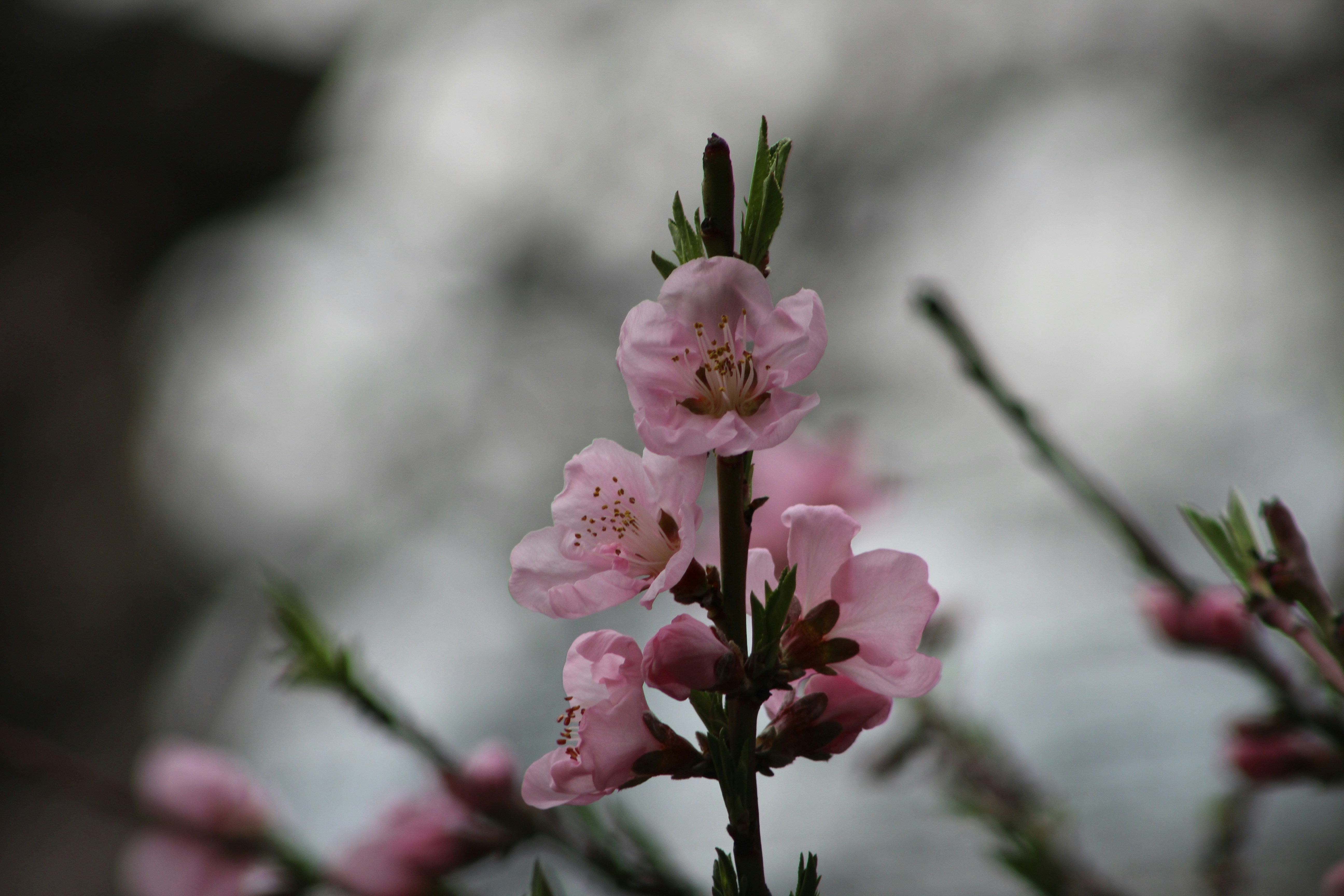 Photo by christopherclass