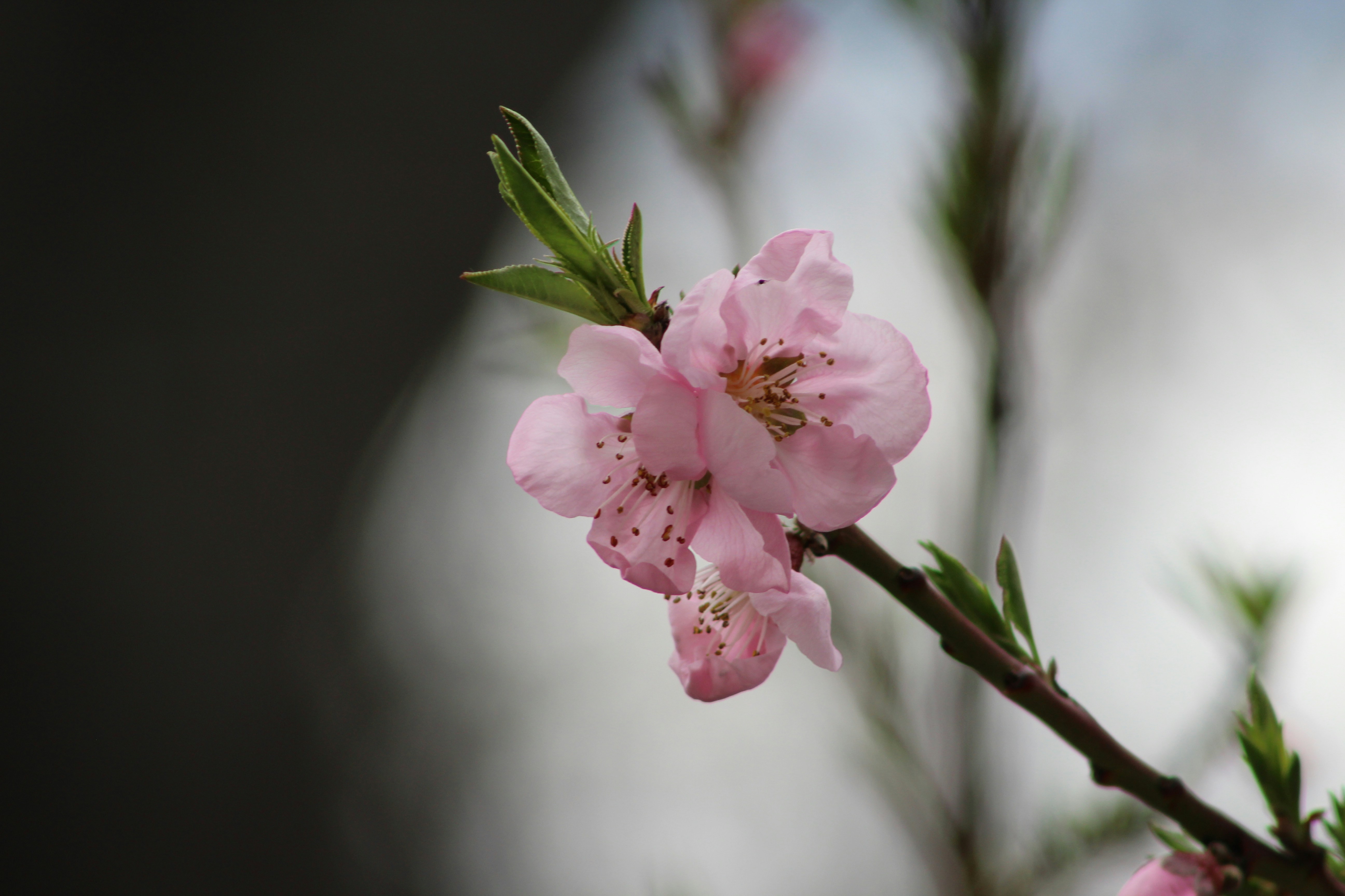 Photo by christopherclass