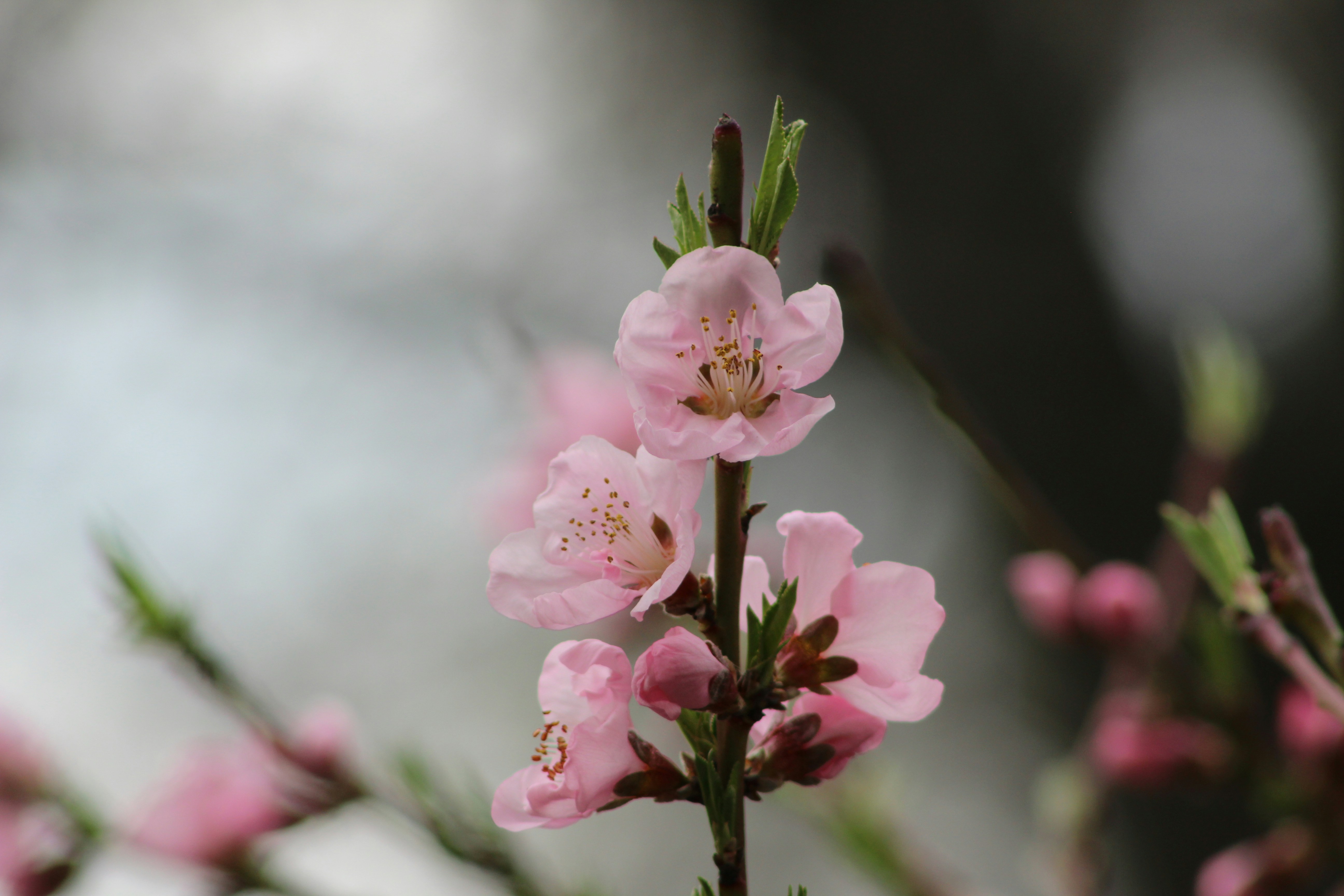 Photo by christopherclass