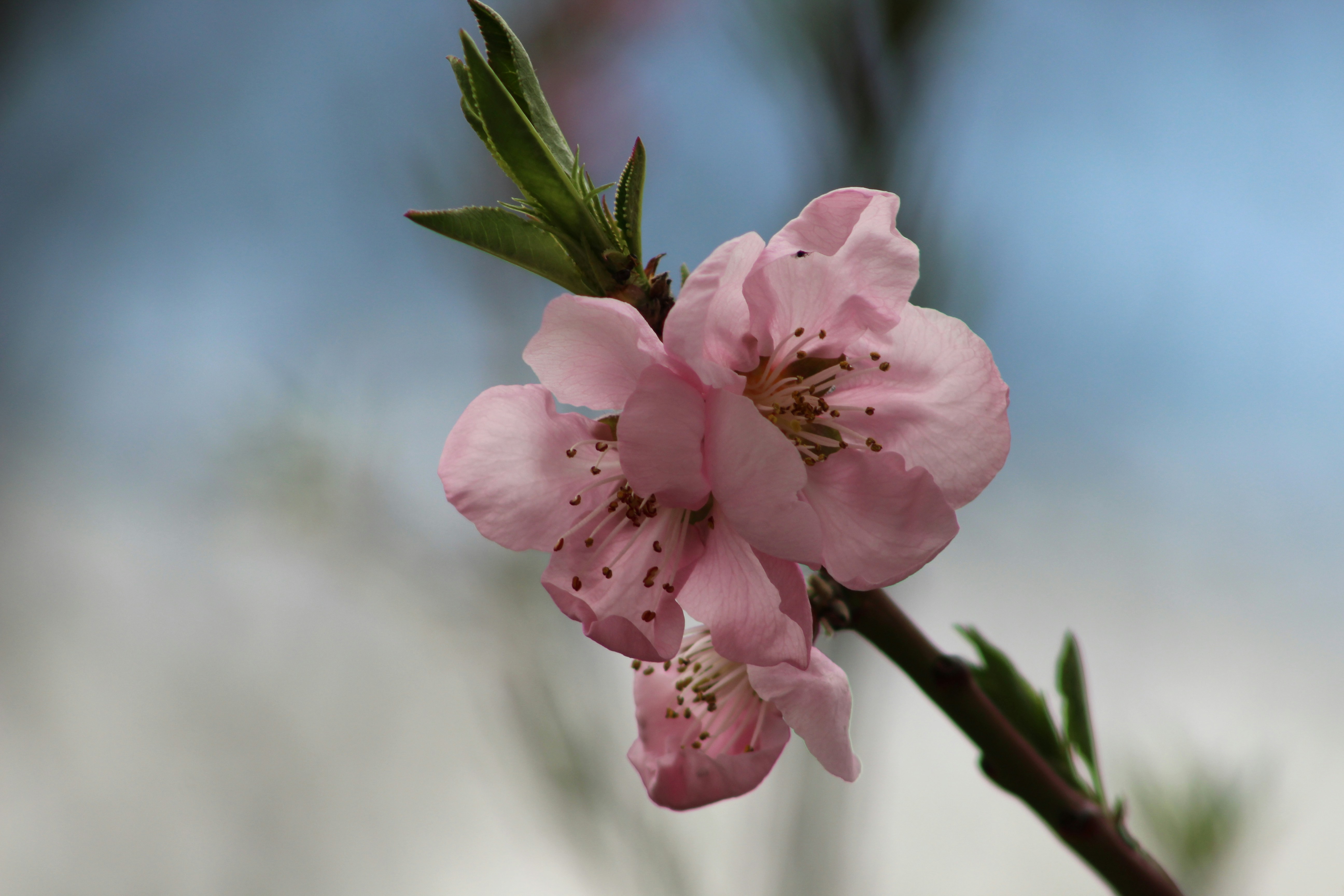 Photo by christopherclass