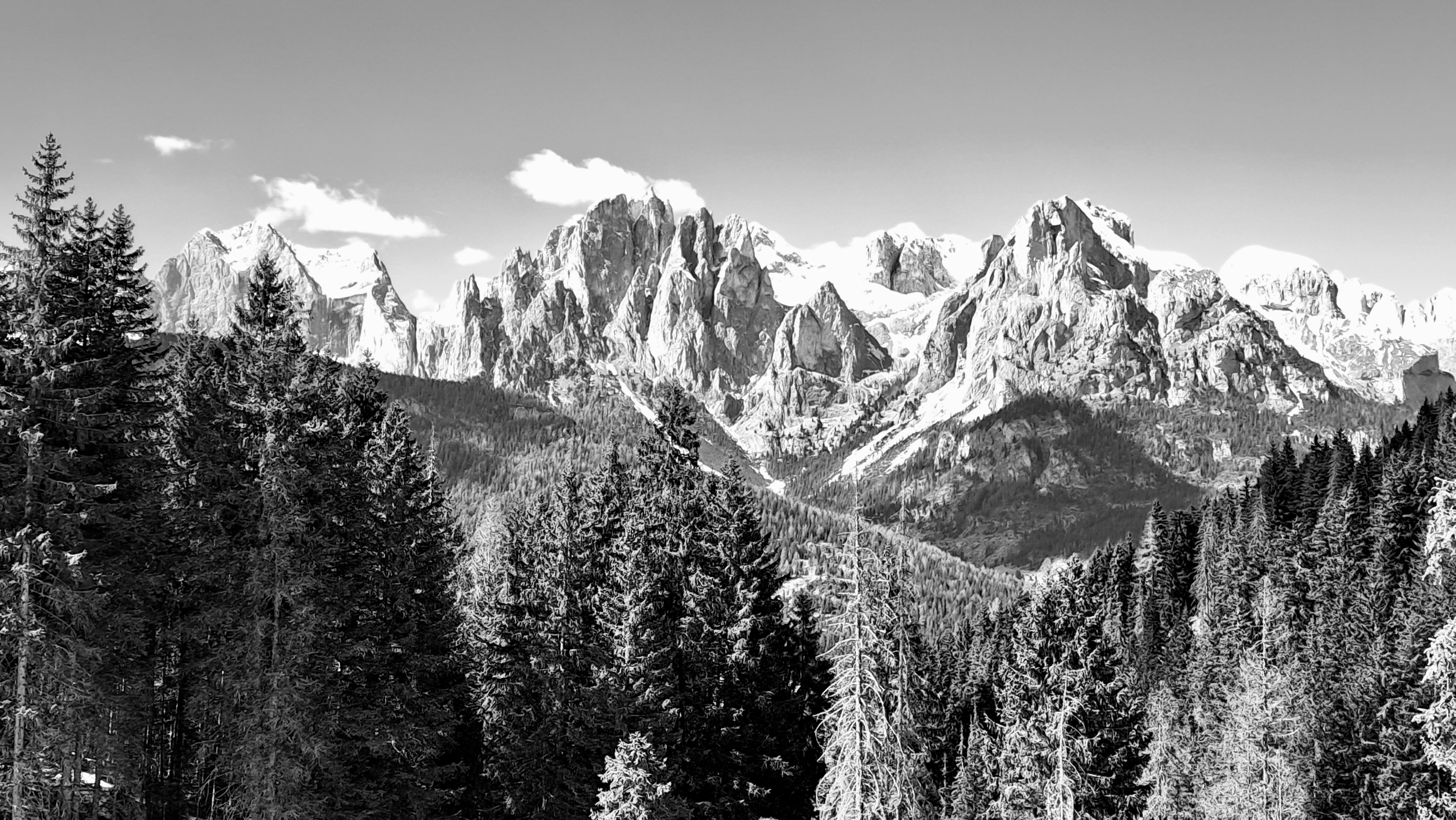 Snow-capped mountains rise above a dense pine forest.