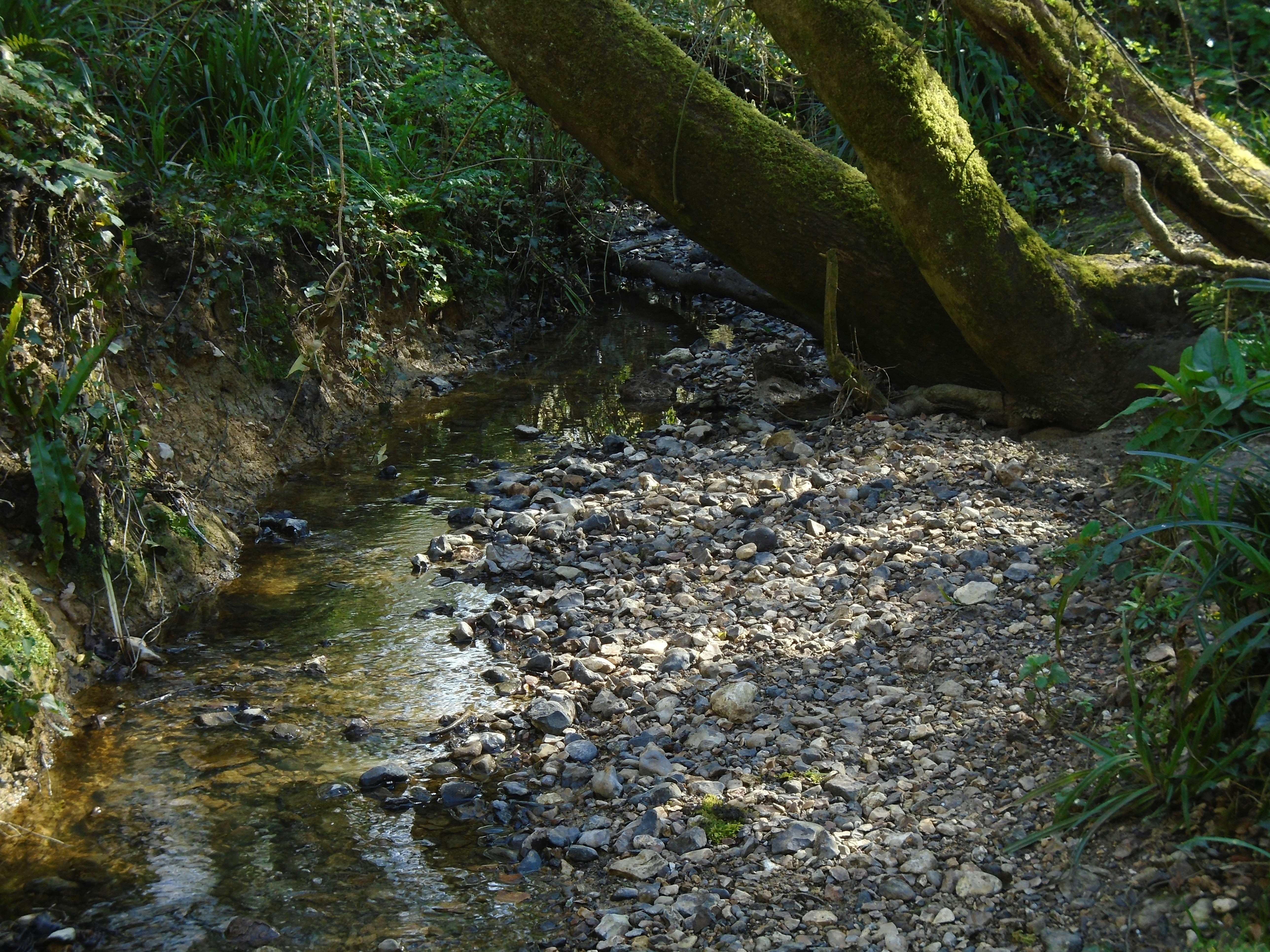 Photo by hiddenhollows