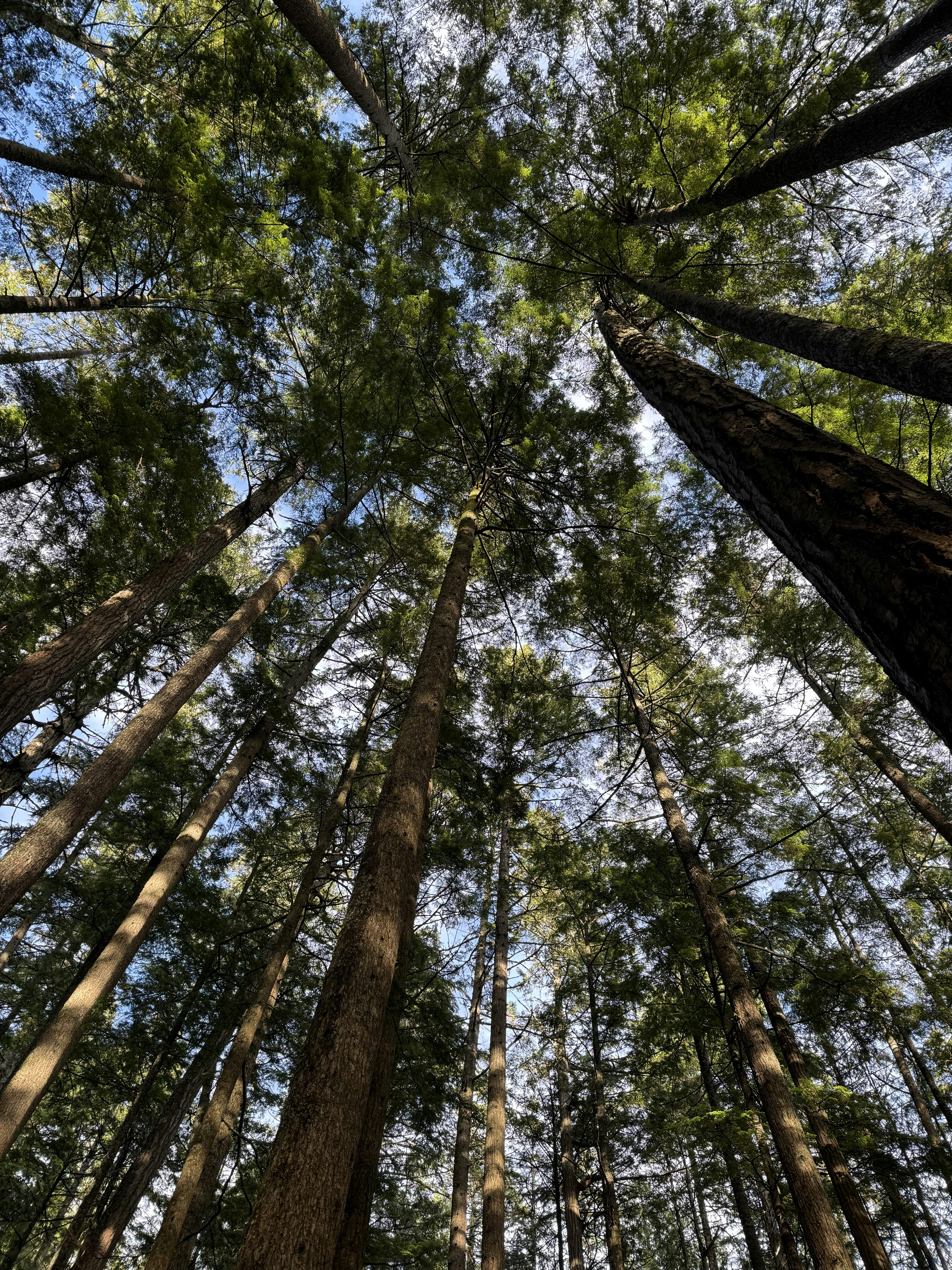 Photo by lukedelguercio