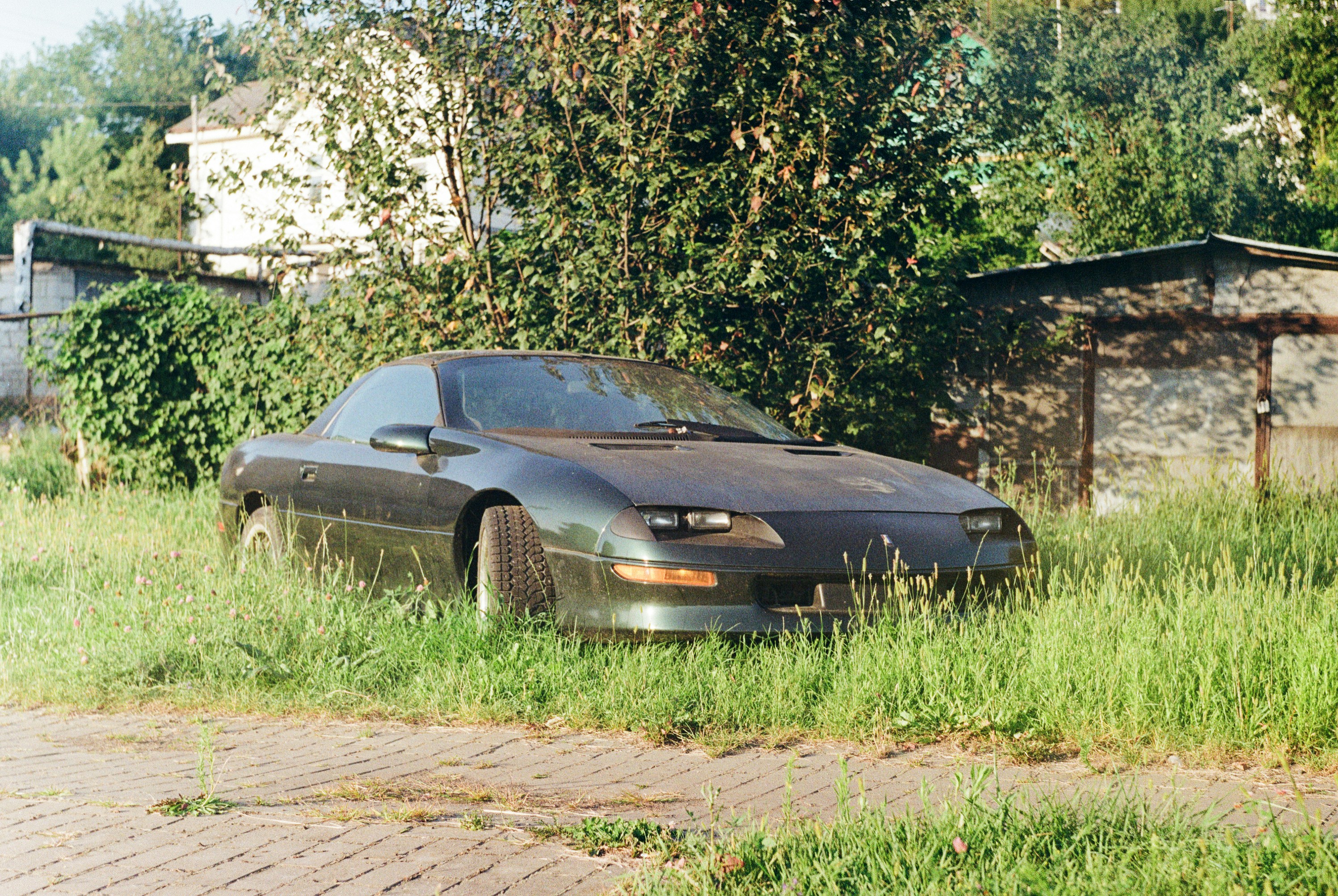 Dark car parked in overgrown grassy area.