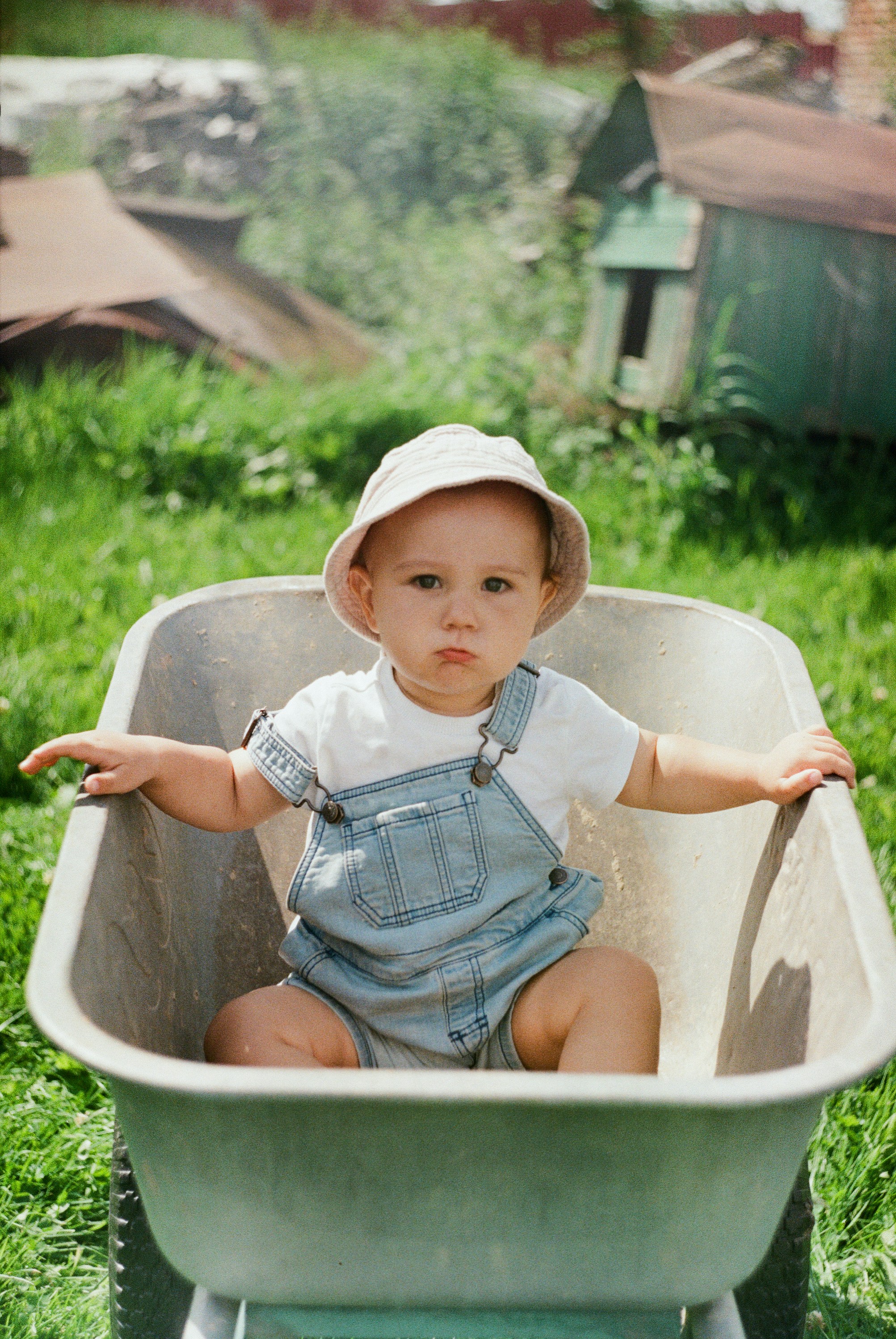 Baby in a wheelbarrow wearing overalls and hat.