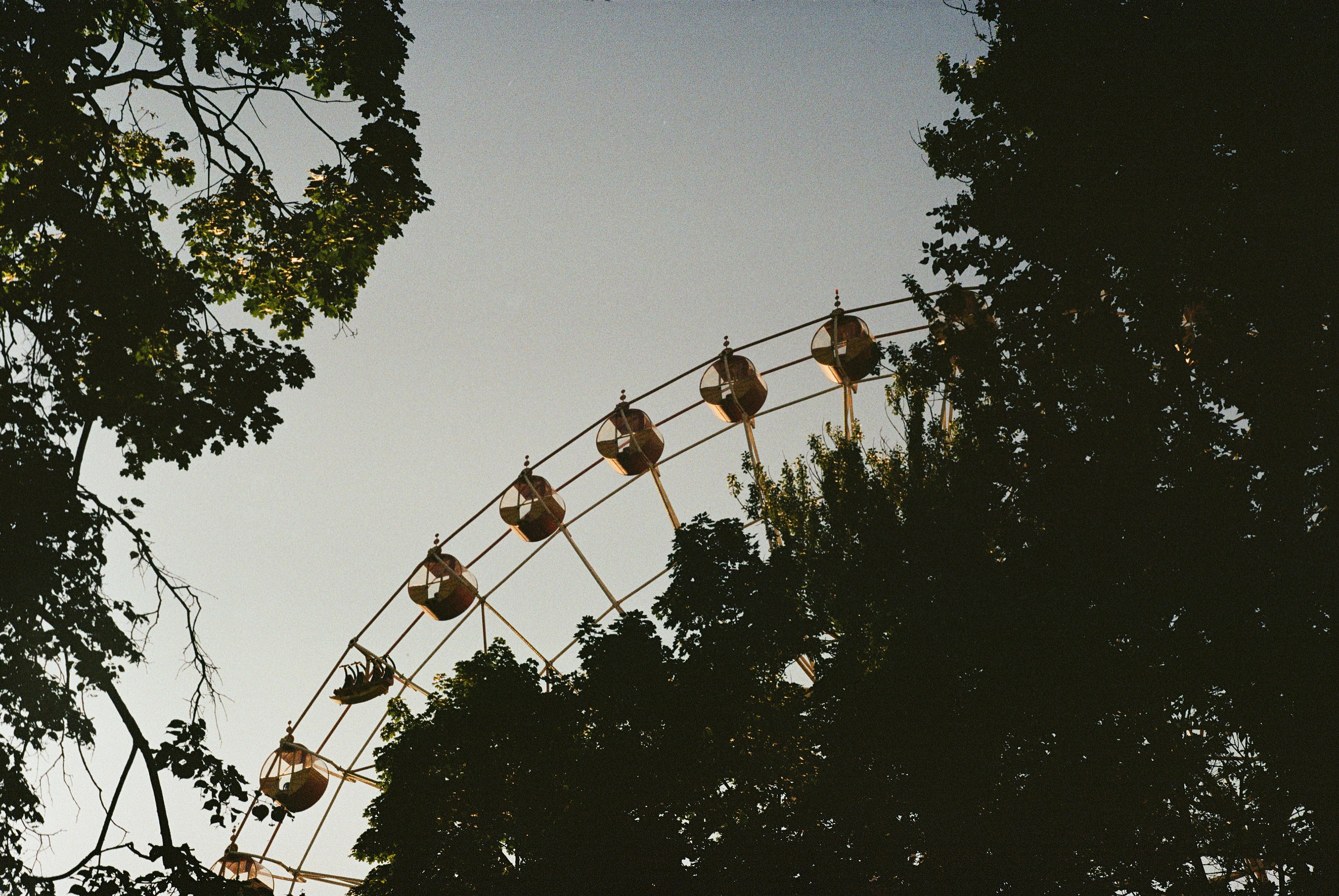 Photo by beauty_is_everywhere